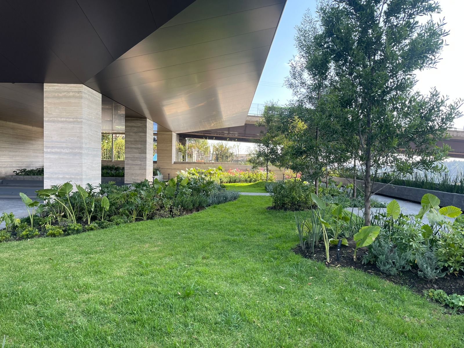 WhatsApp Image 2025-01-07 at 6.24.23 PM.jpeg