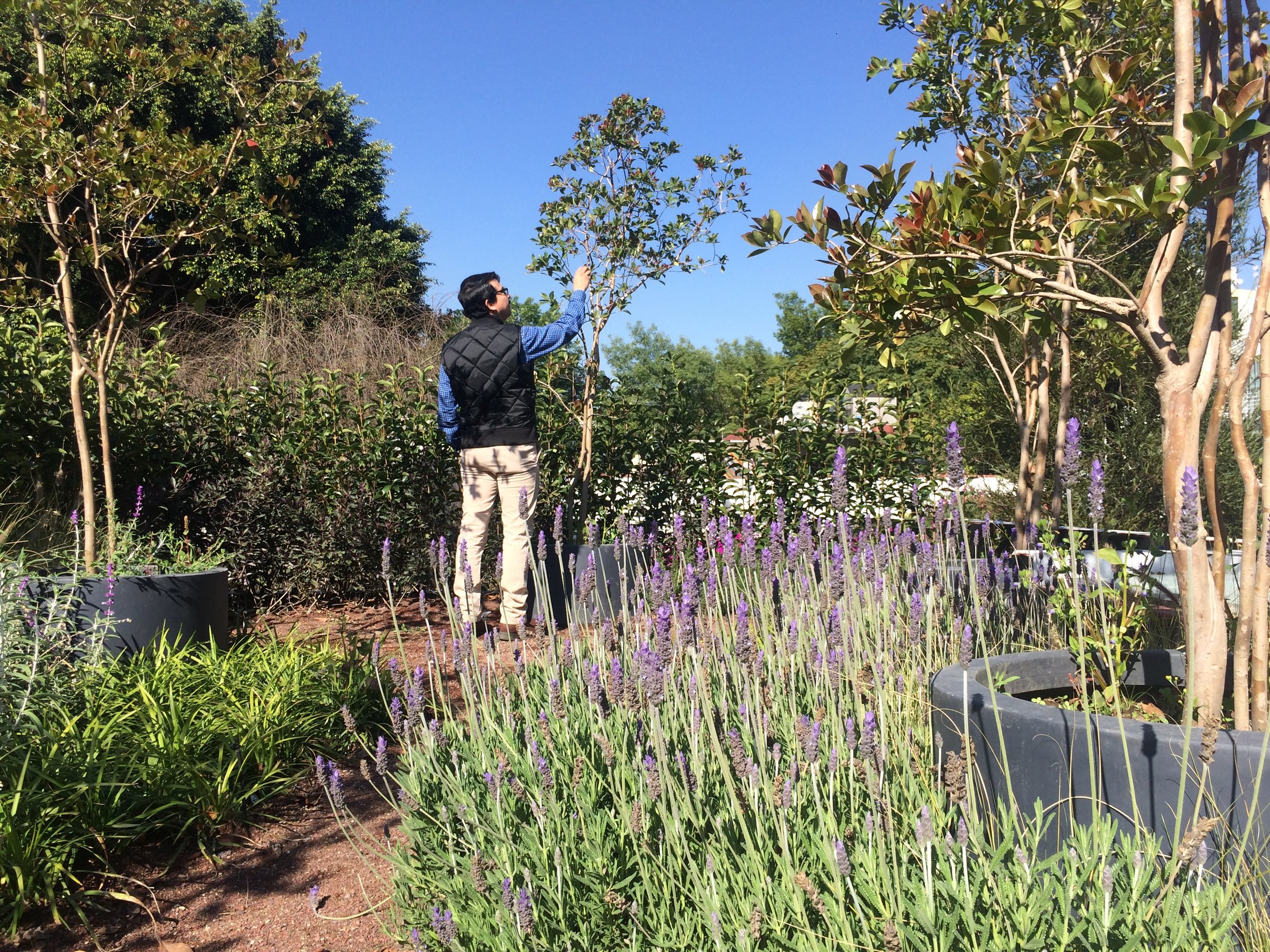 Casa privada - Azoteas Verdes