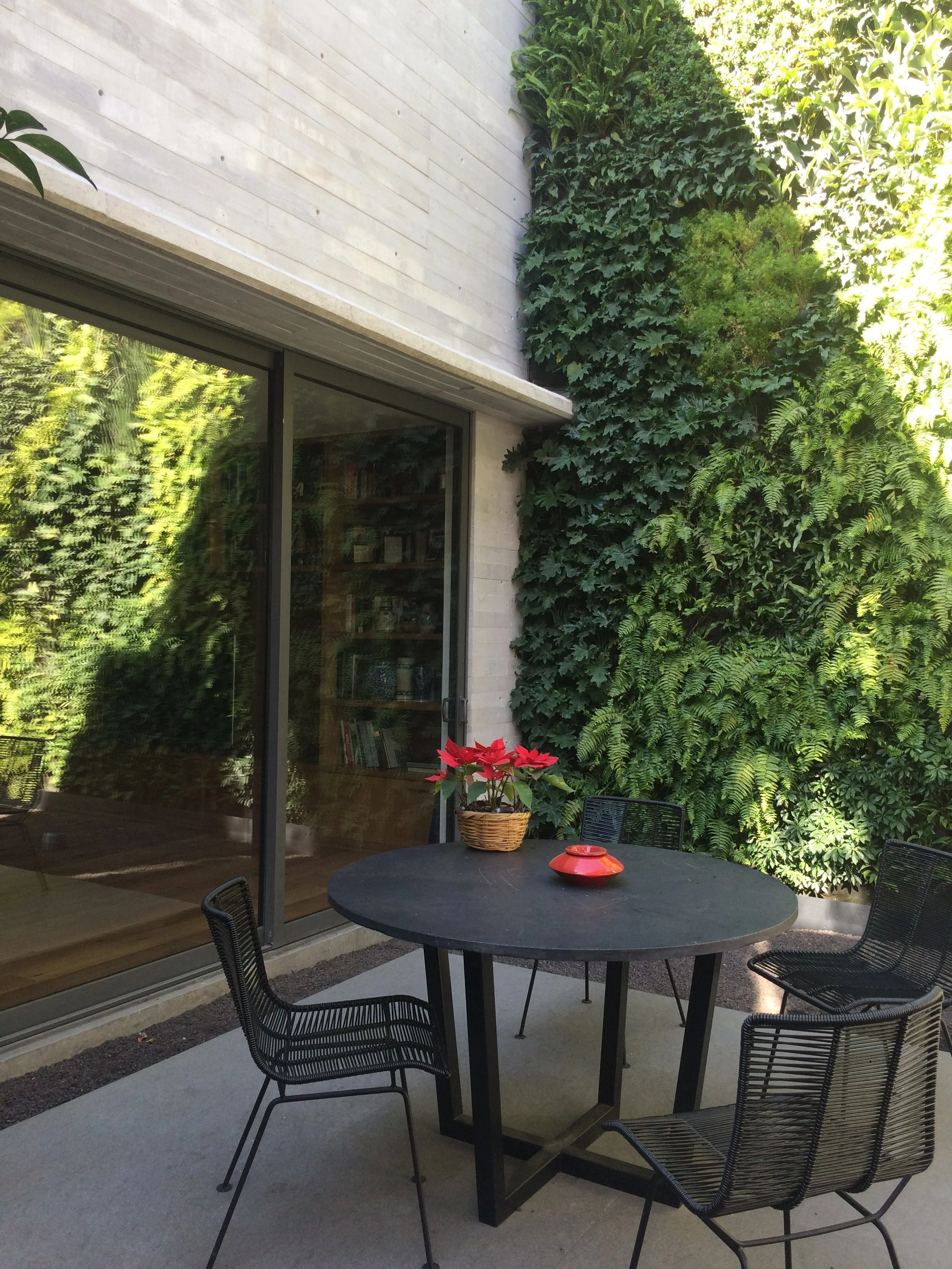 Casa Privada - Jardines Verticales