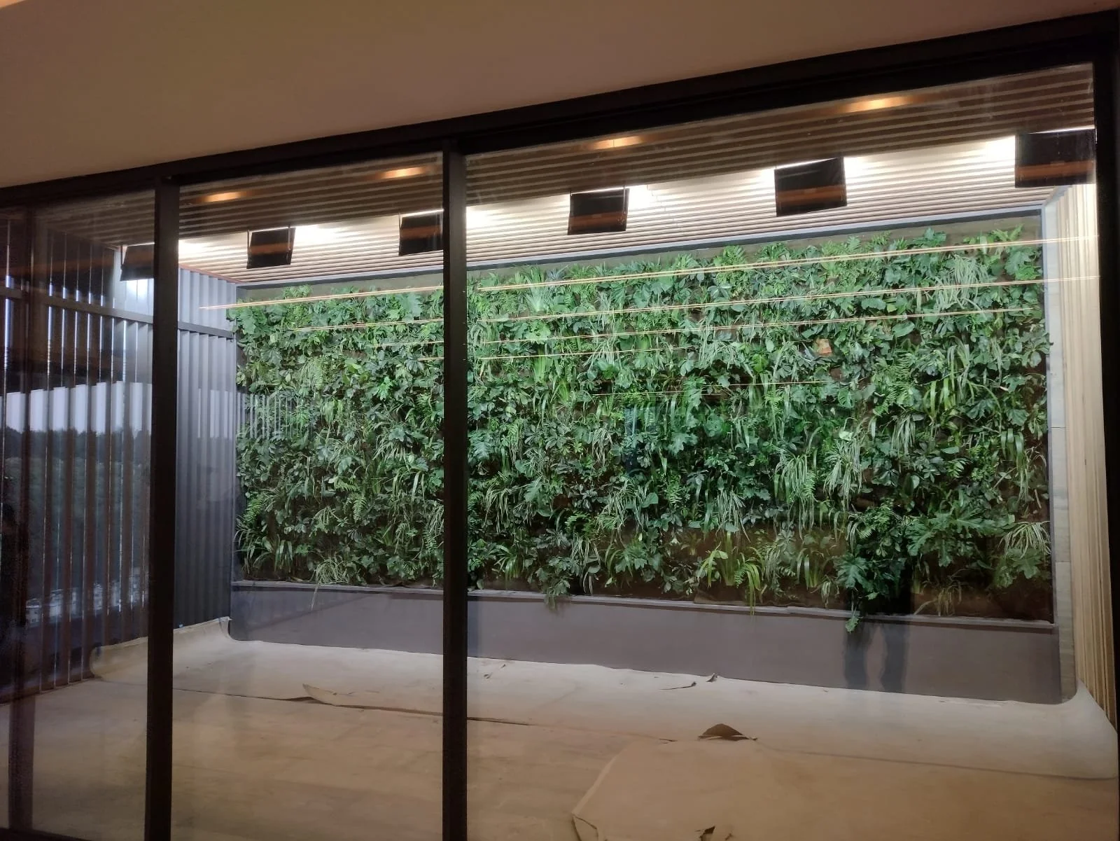 WhatsApp Image 2023-06-02 at 7.06.02 PM (1).jpeg