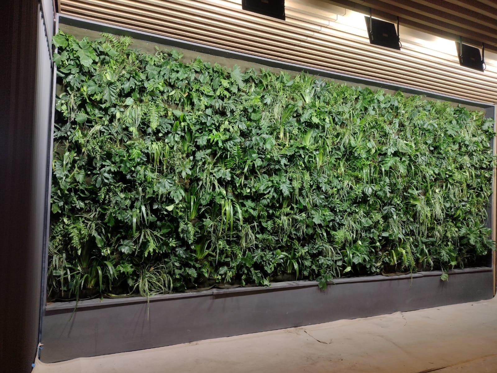 WhatsApp Image 2023-06-02 at 7.06.03 PM (1).jpeg