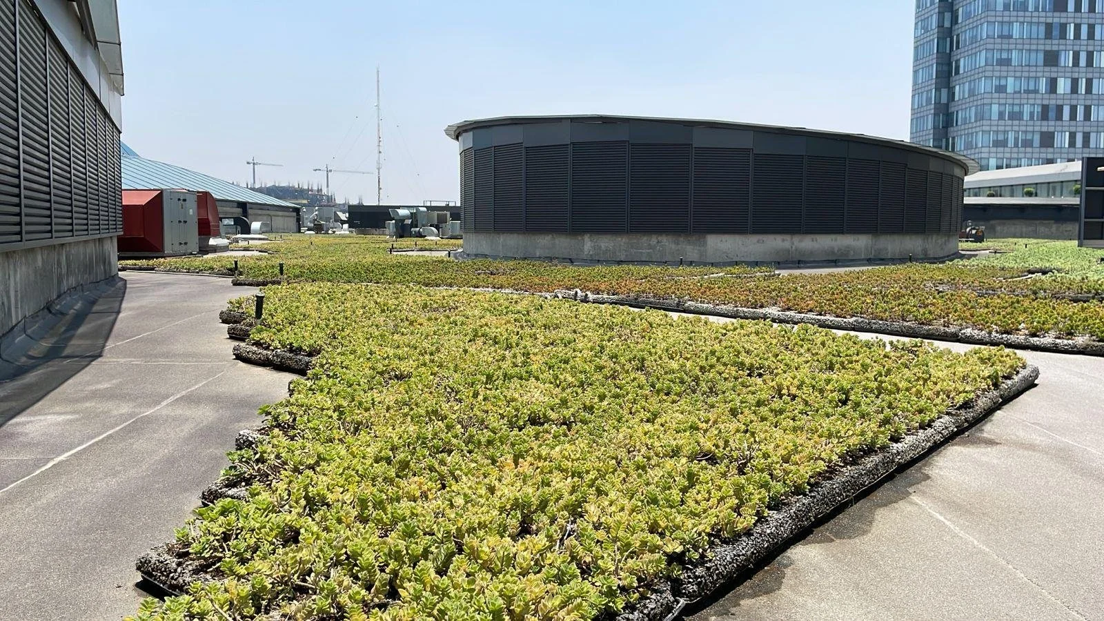 Mitikah - Azoteas verdes