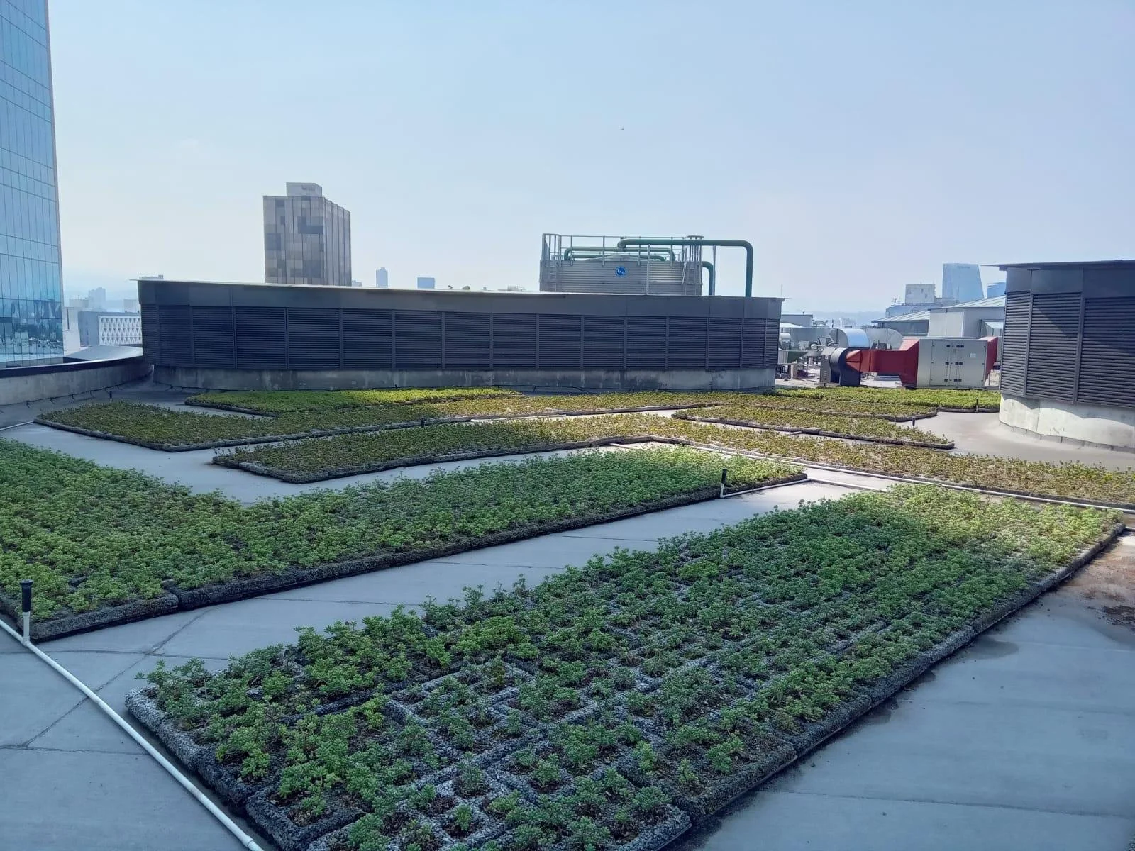 WhatsApp Image 2025-03-07 at 5.04.57 PM.jpeg