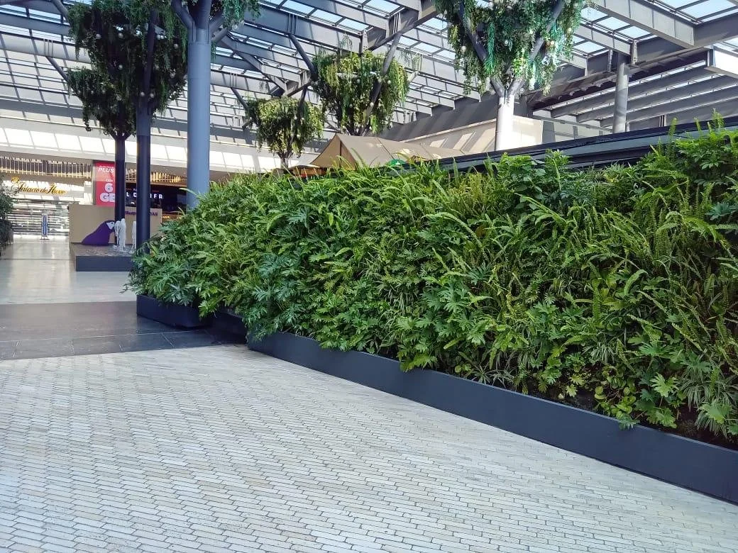 WhatsApp Image 2025-03-07 at 5.00.21 PM.jpeg