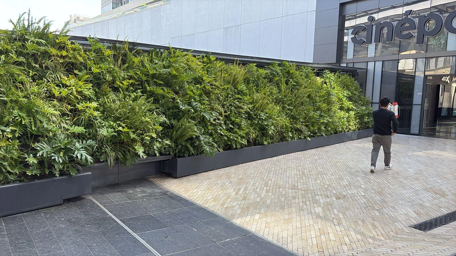 WhatsApp Image 2025-03-07 at 5.00.21 PMss.jpeg