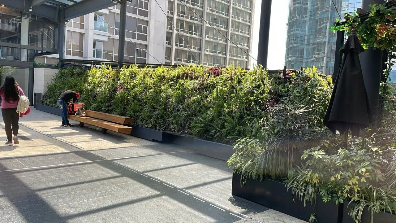 WhatsApp Image 2025-03-07 at 5.02.06 PM (1).jpeg