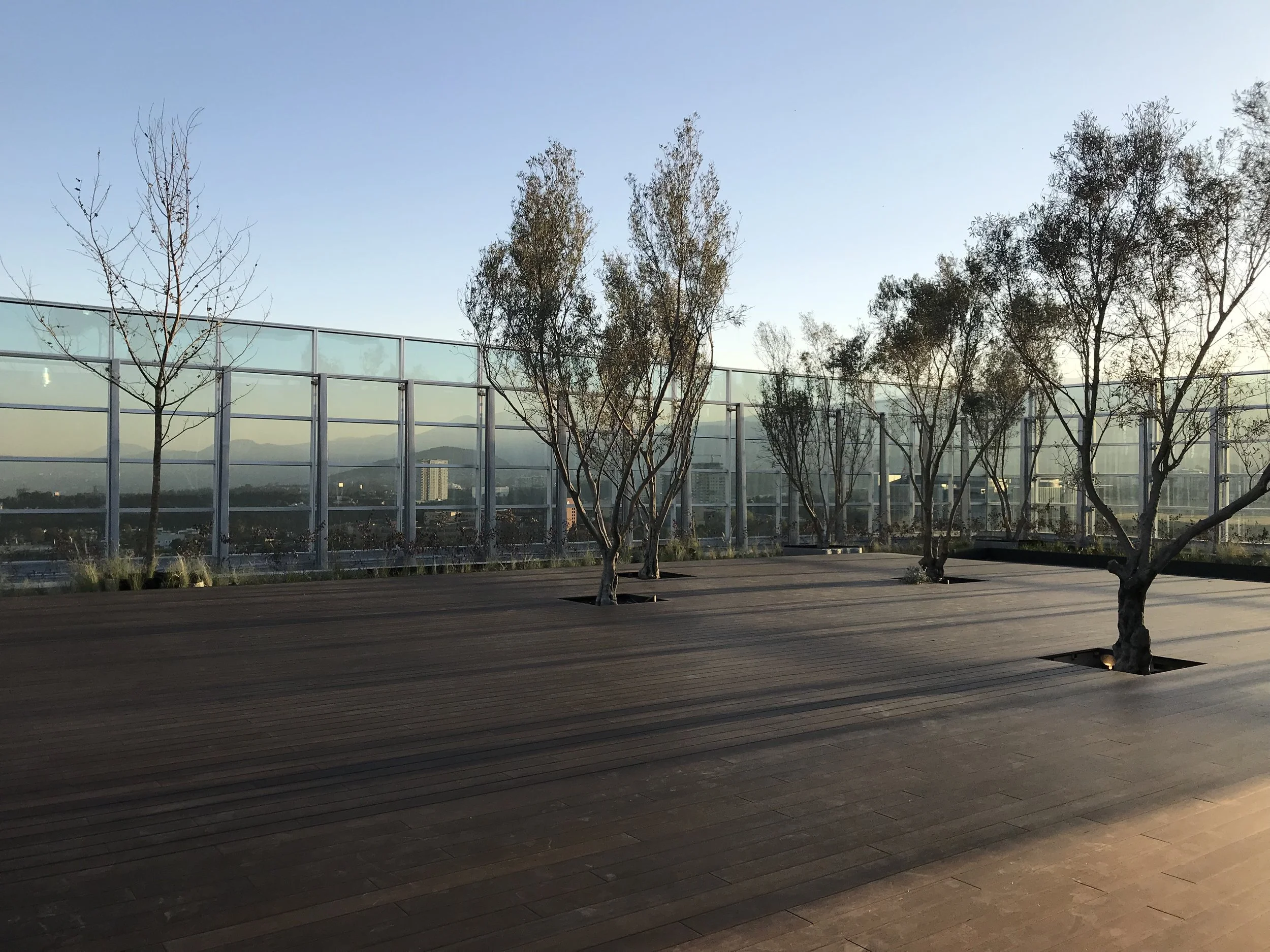 PARK PLAZA III 02.JPG