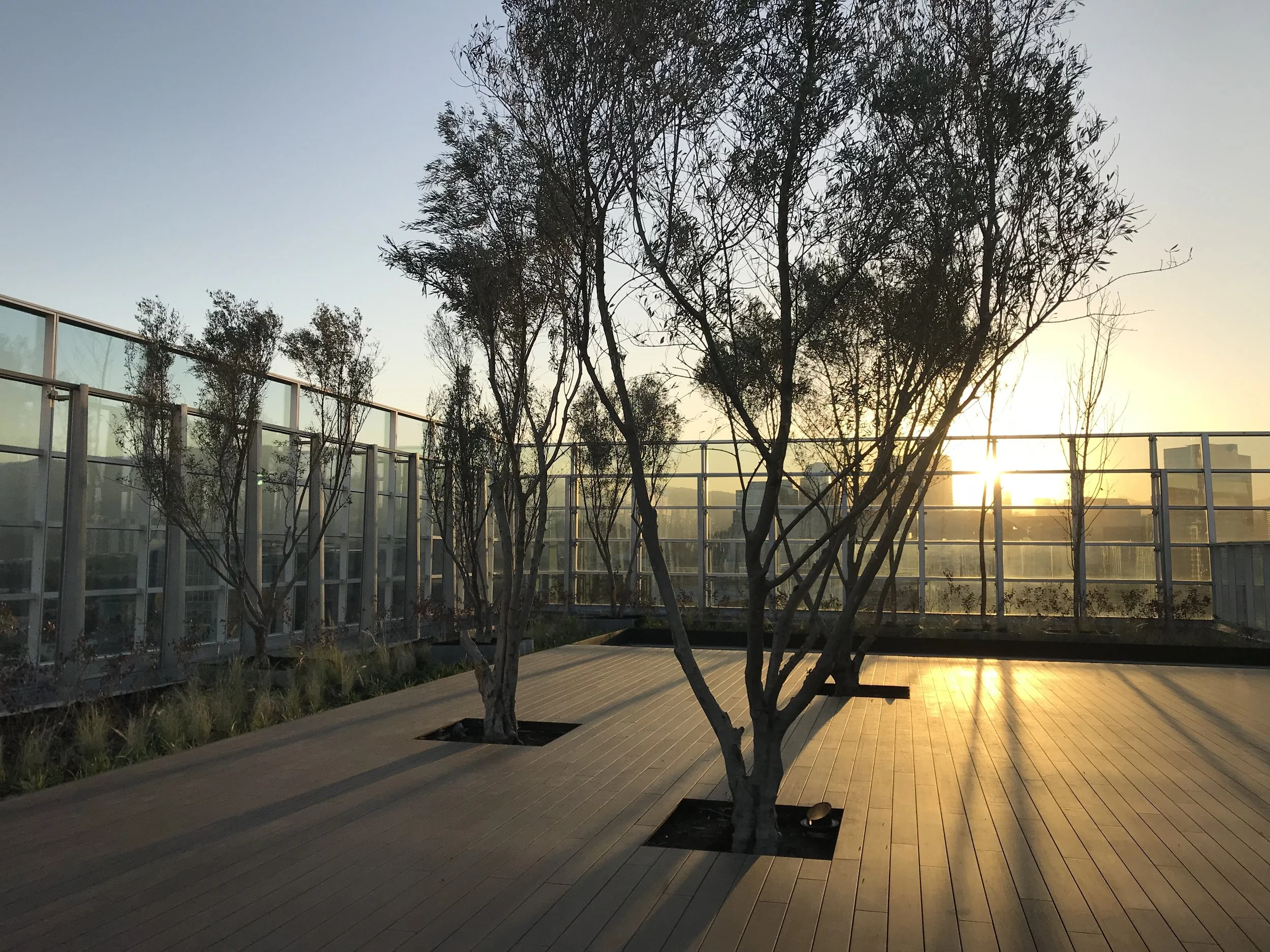 PARK PLAZA III 03.JPG