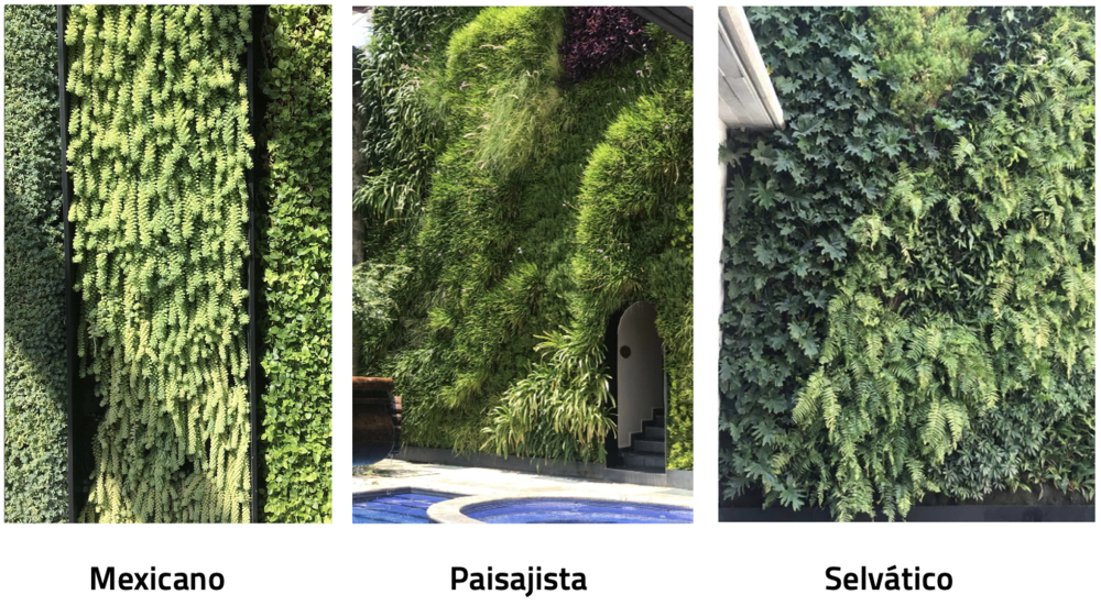 Jardines Verticales / Muros Verdes - Plántica — Jardines Verticales y  Azoteas Verdes - Plántica, Ciudades Vivas