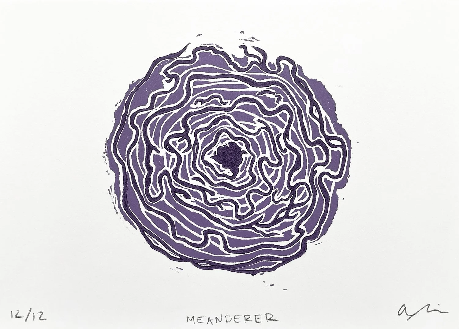 22M, Meanderer, 2022 copy.jpg