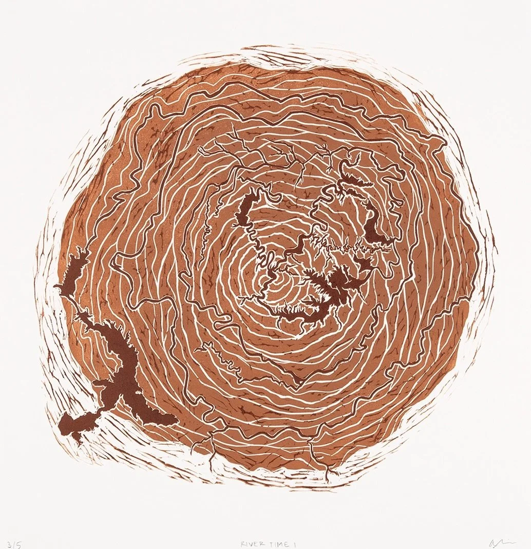 I&rsquo;m excited to be participating in Insight: Art for Climate Action, opening tomorrow night for First Friday Art Walk at the @steamboatcreates Art Depot from 5-8 PM!

My piece, River Time I, and the many other wonderful pieces in the Insight sho