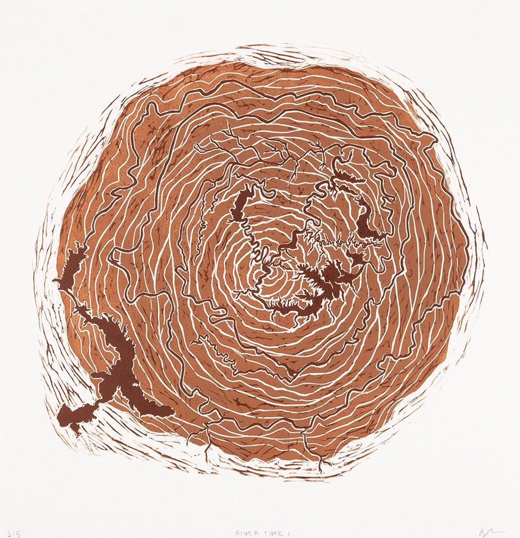 I&rsquo;m excited to be participating in Insight: Art for Climate Action, opening tomorrow night for First Friday Art Walk at the @steamboatcreates Art Depot from 5-8 PM!

My piece, River Time I, and the many other wonderful pieces in the Insight sho