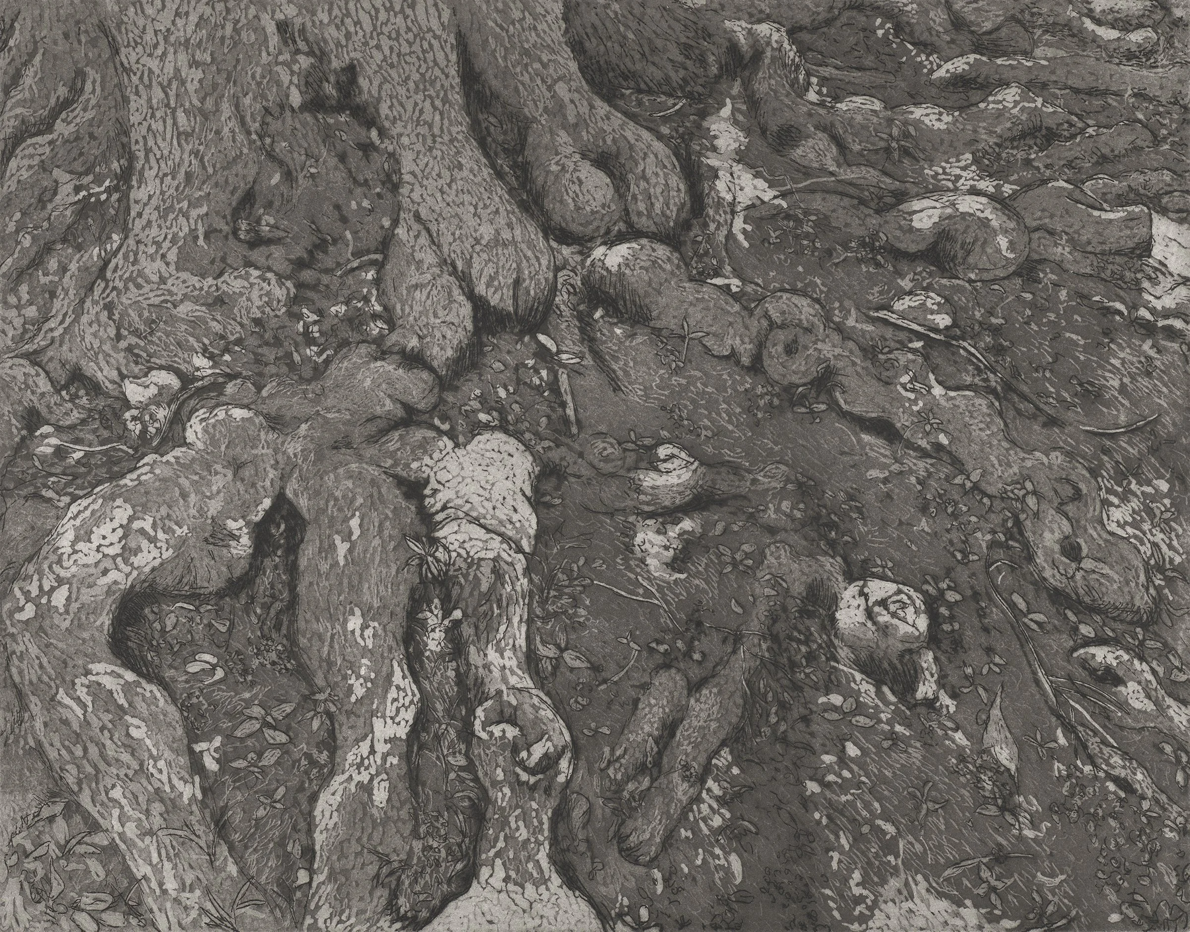 Strange roots scan cropped copy.jpg