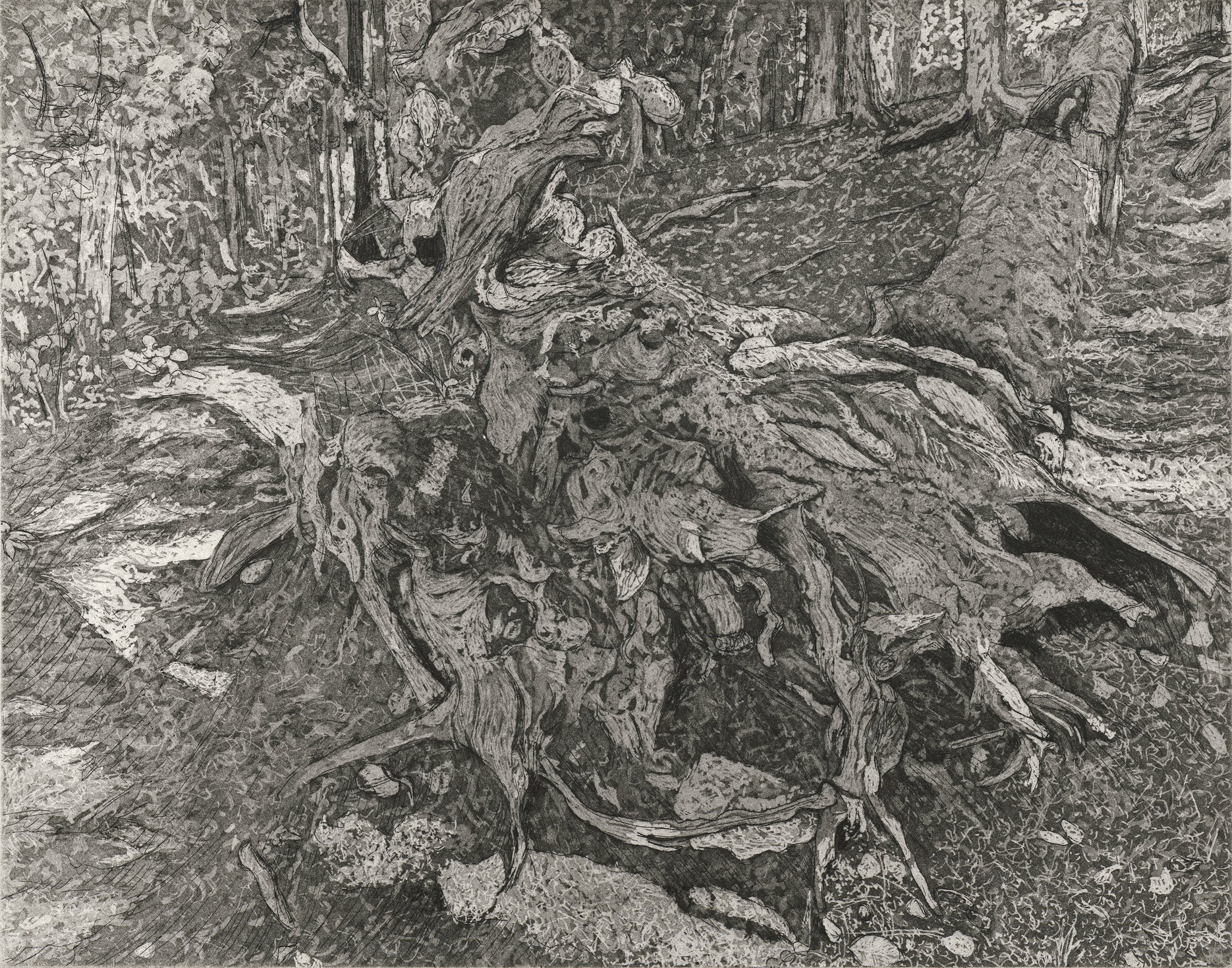 Uprooted, 2025, scan.jpg