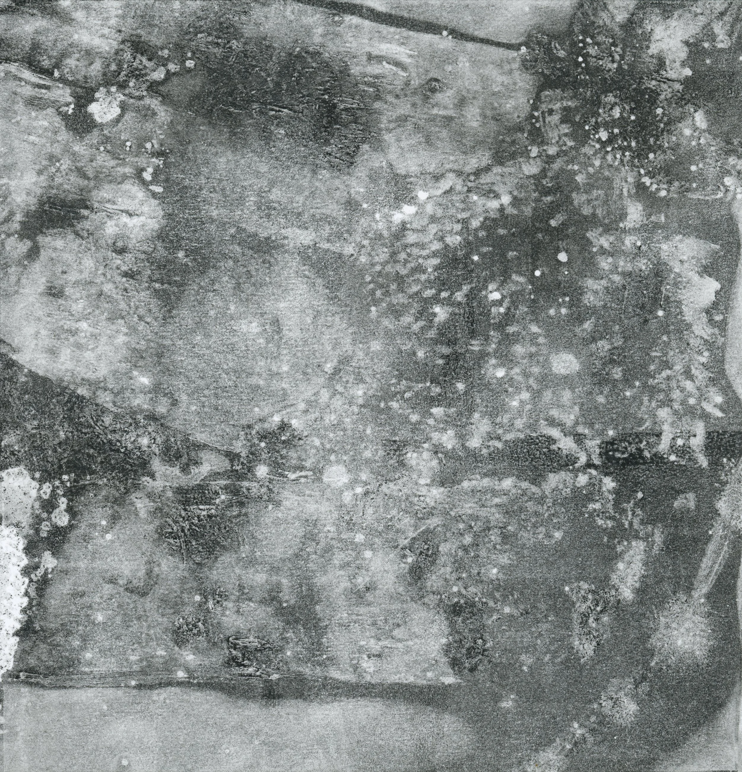 Forest Floor0003.jpg