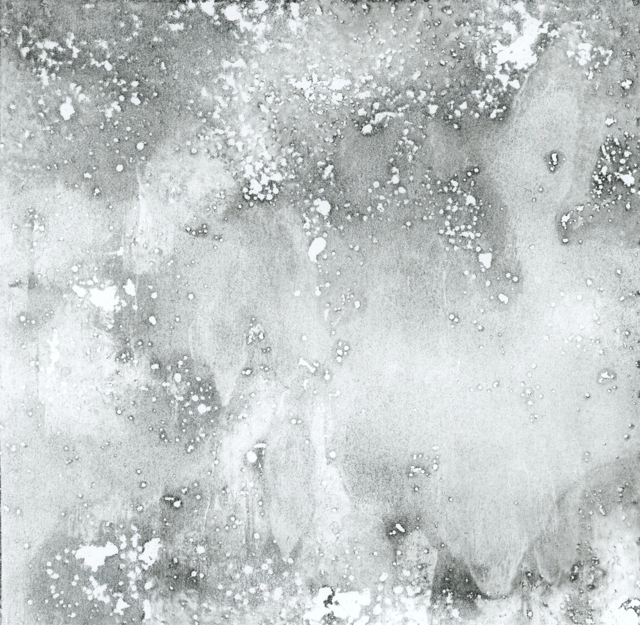 Forest Floor0007.jpg