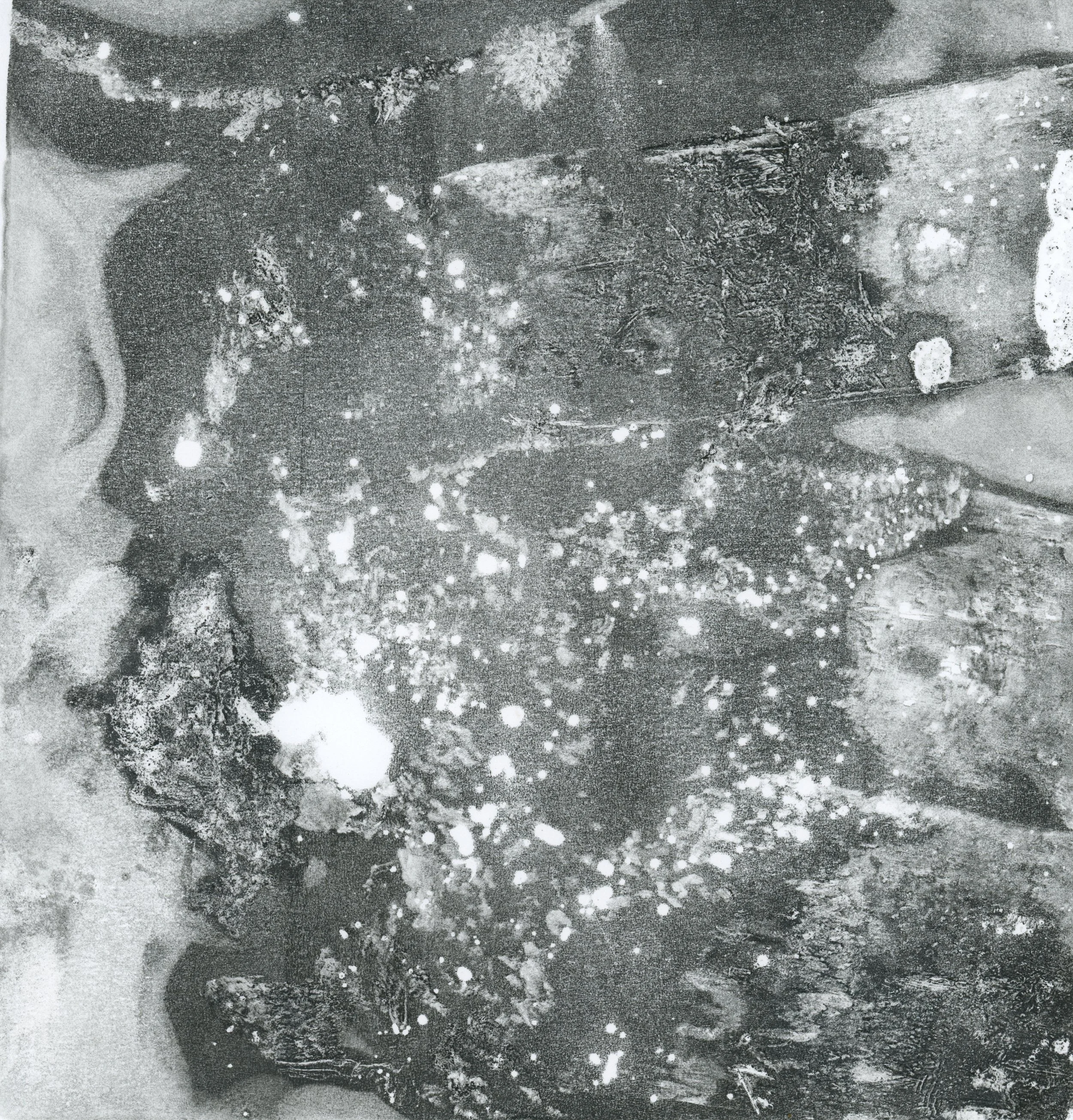 Forest Floor0008.jpg