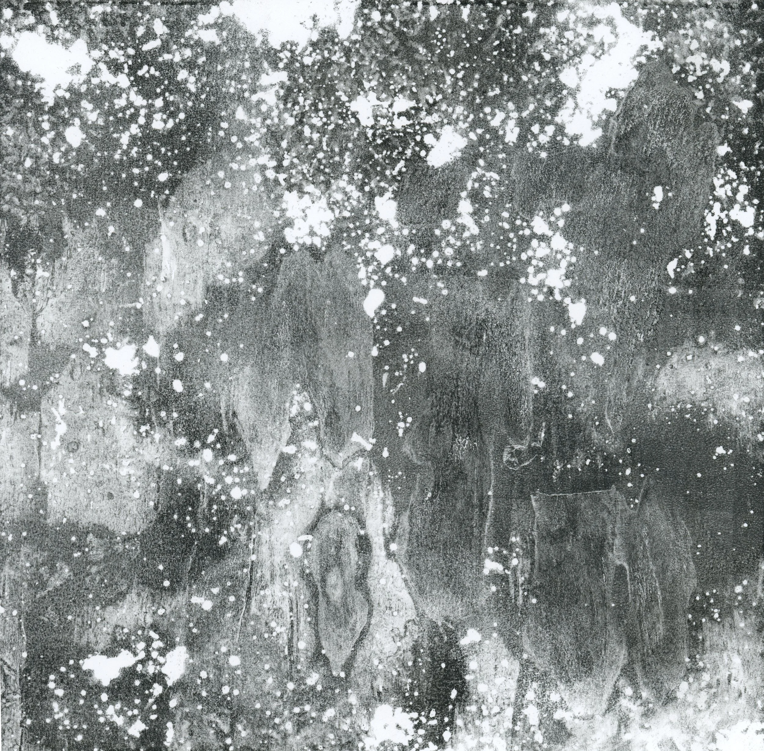 Forest Floor0001.jpg