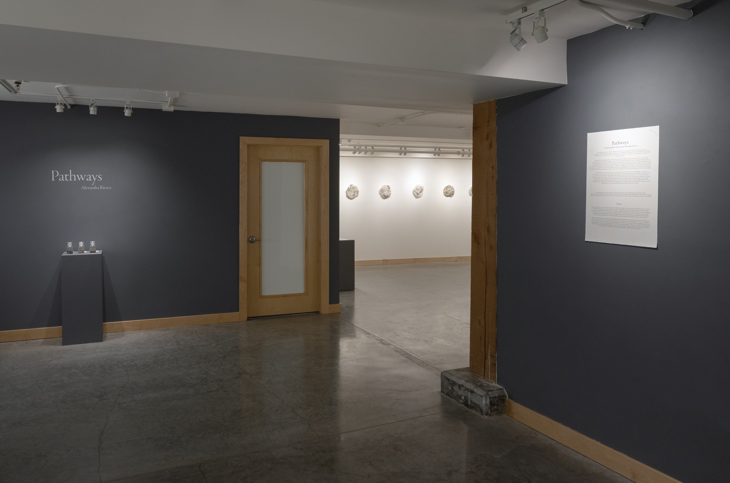  Photos by Sona Pastel-Daneshgar 