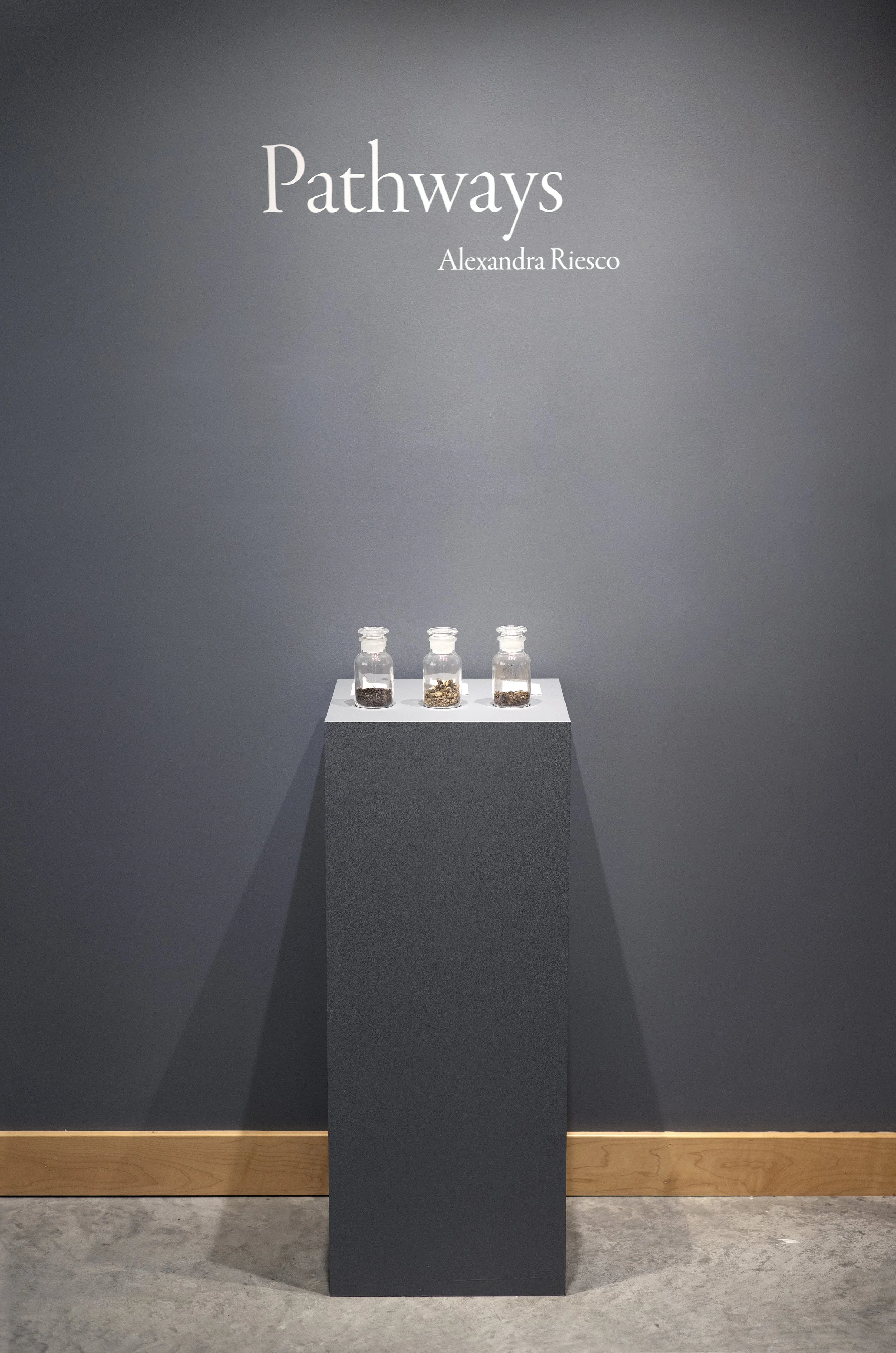 Riesco-Pathways_03.jpg
