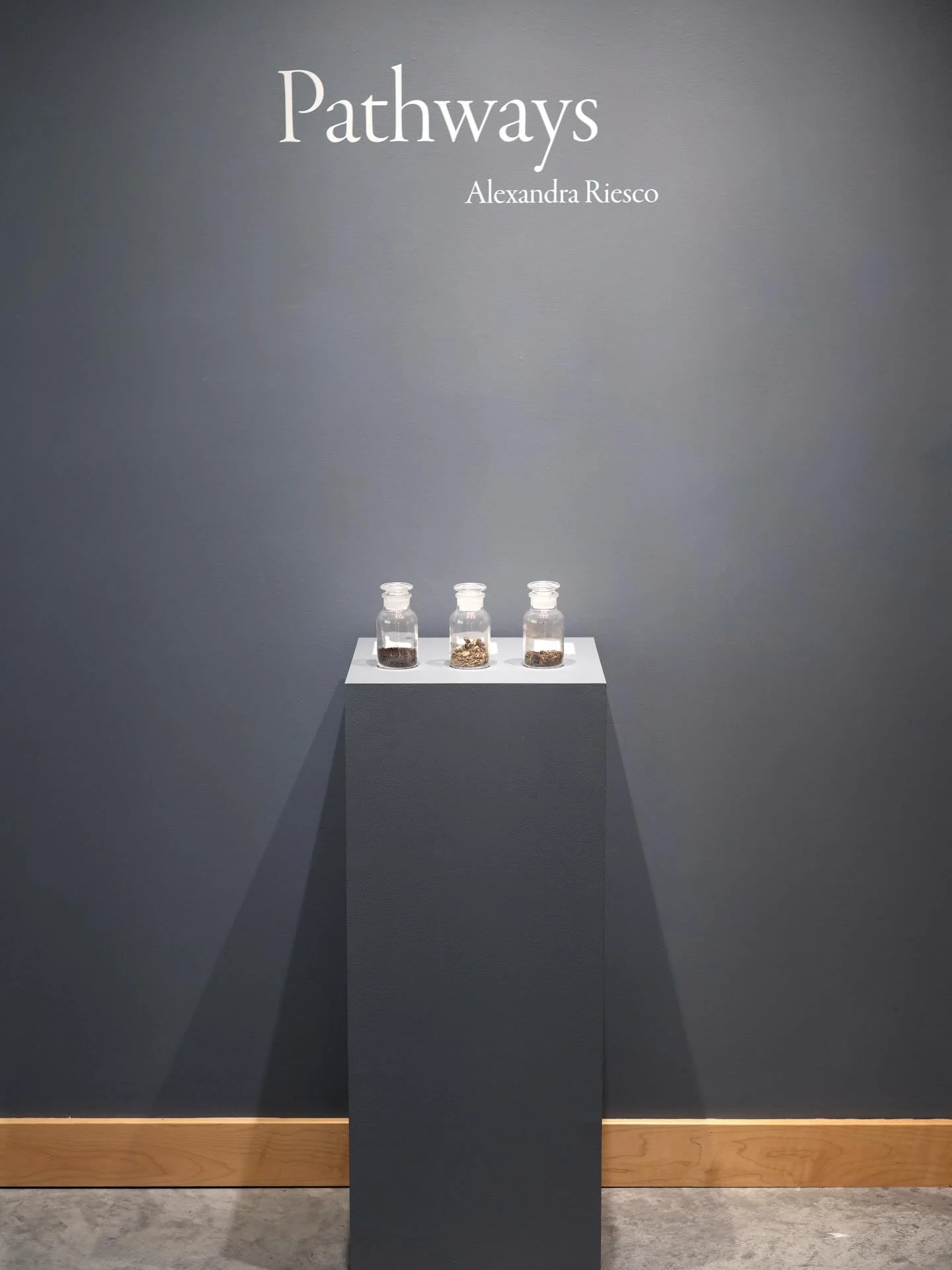 There&rsquo;s one week left to see Alexandra Riesco: Pathways, on view at Tandem Press through March 27th!

Gallery hours: Tuesday-Friday, 10am-4pm and by appointment

#exhibition #etching #contemporaryprintmaking #environmentalart #uwtandempress