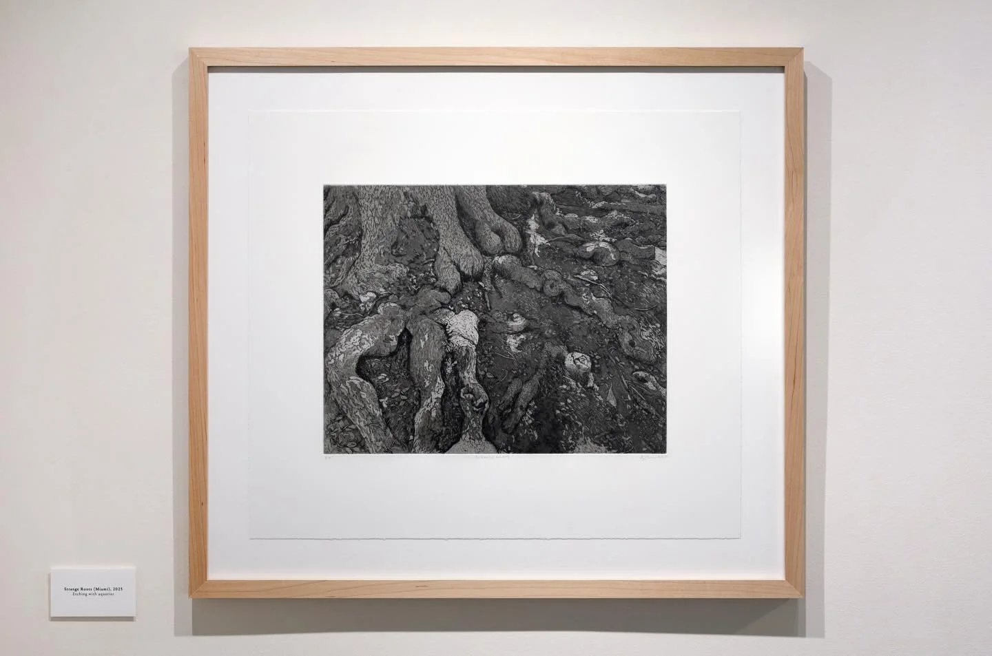 Strange Roots, 2025
Etching with aquatint on Somerset Velvet
17 1/2 x 20 inches 

#etching #intaglioprintmaking #roots #pathways #exhibition