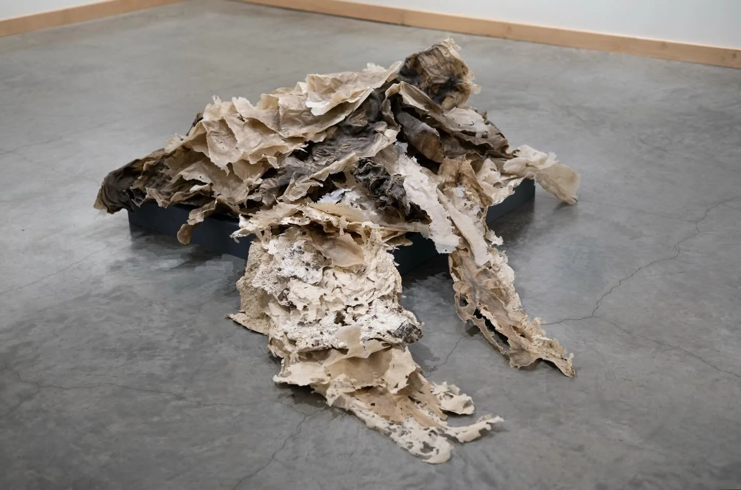 Accumulation, 2026
Poured handmade abaca, flax, and cotton paper, found materials
Approximately 103 x 70 x 26 inches

#sculpture #fiberart #handmadepaper #pathways #exhibition