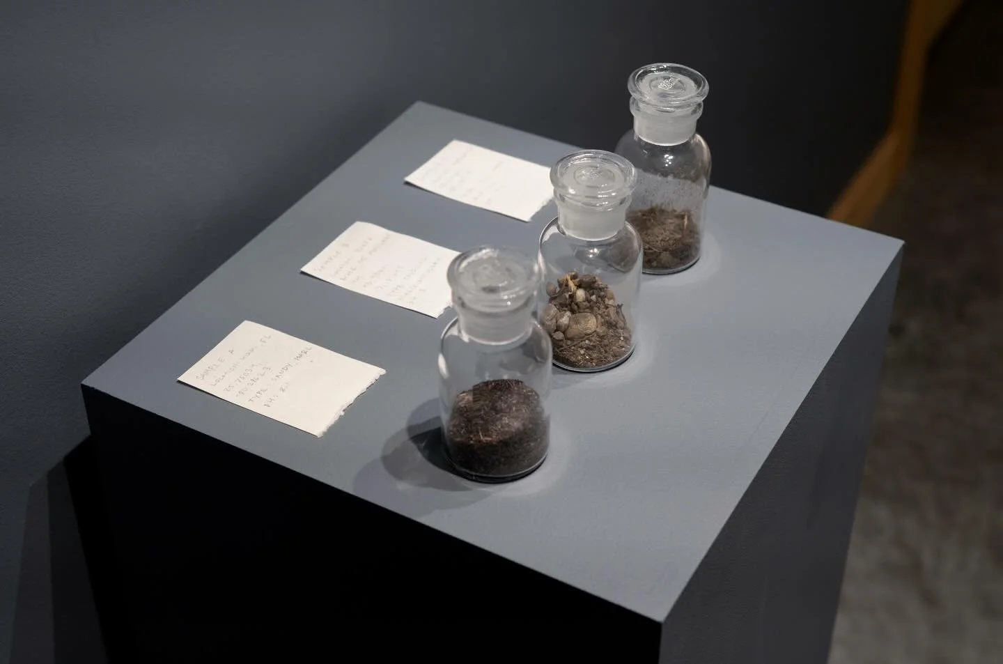 Three Samples, 2026
Soil samples collected in Madison, WI, Mt. Moosilauke, NH, and Miami, FL, glassware
Approximately 12 x 3 x 5 inches

#sculpture #soil #ground #exhibition #pathways