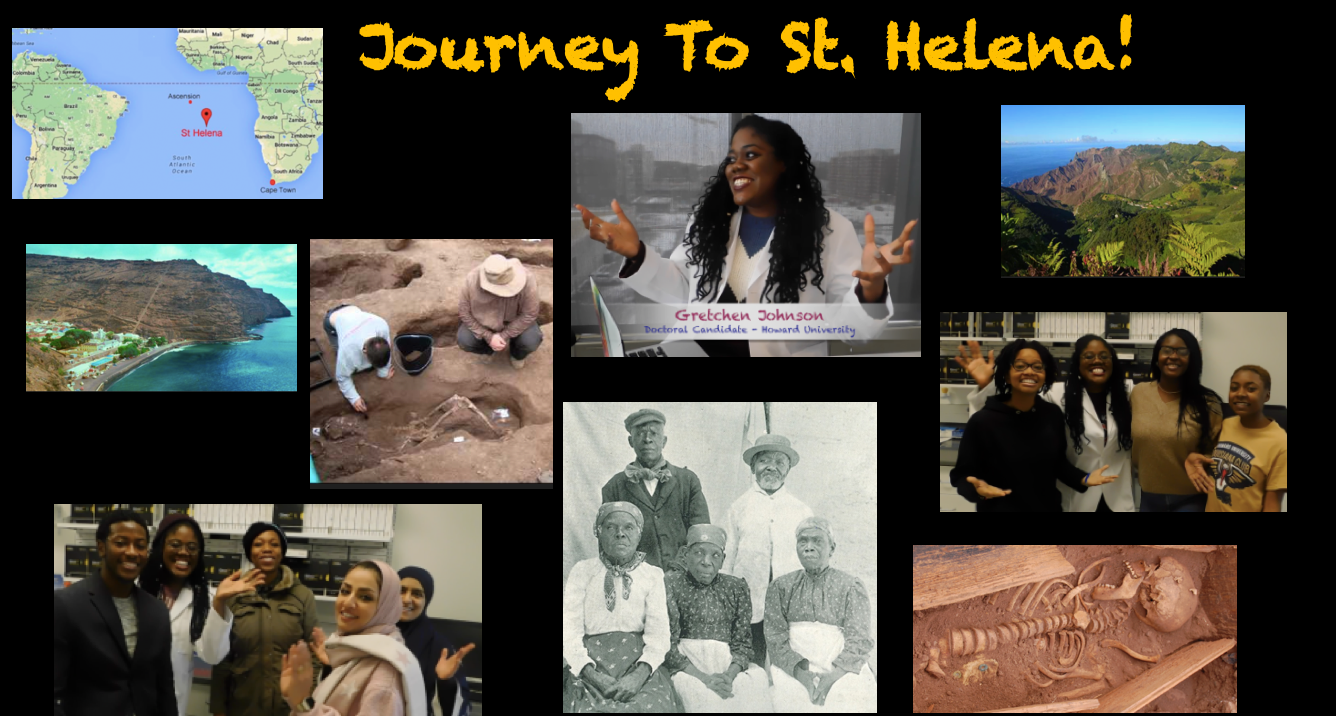 Collage St. Helena.png