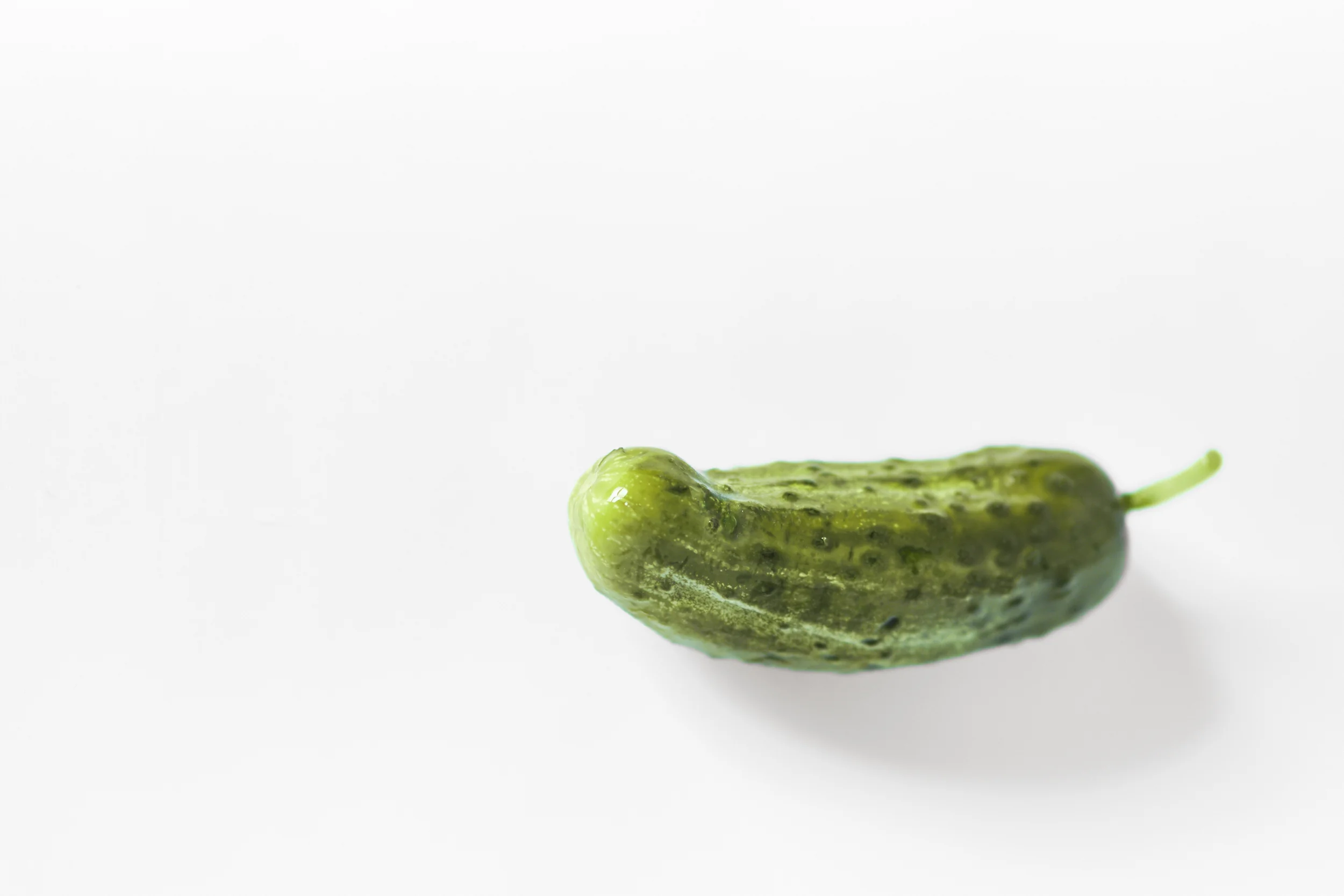 2019_SS_GB_Veggies_034.jpg