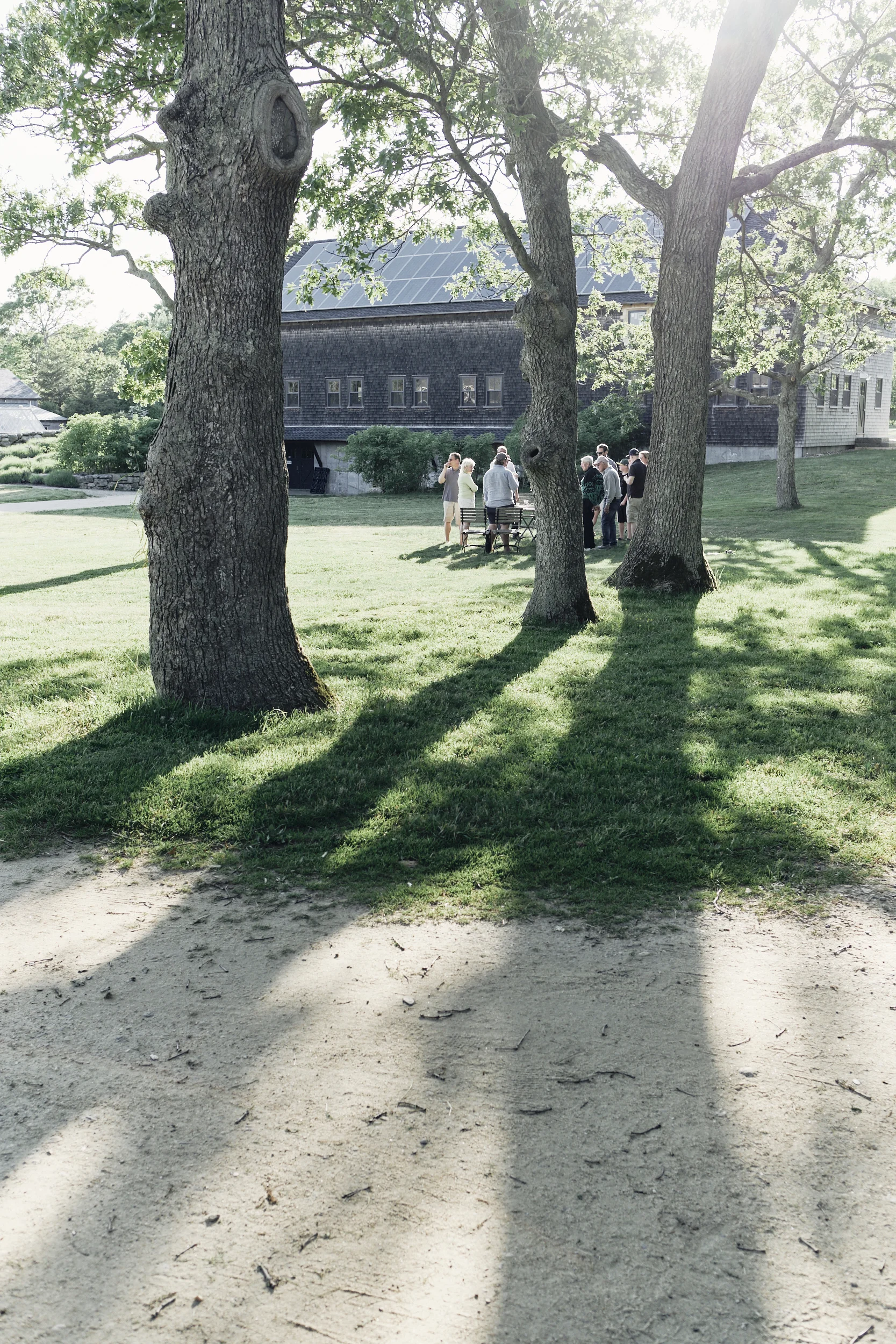 2019_veggieworkshop_143.jpg