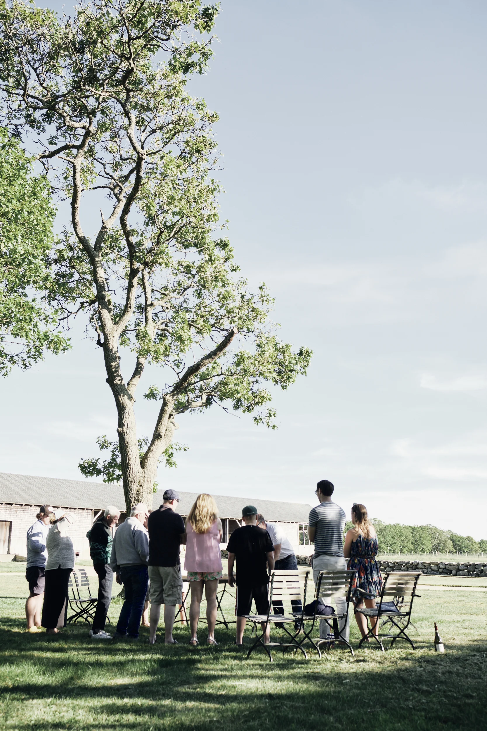 2019_veggieworkshop_144.jpg