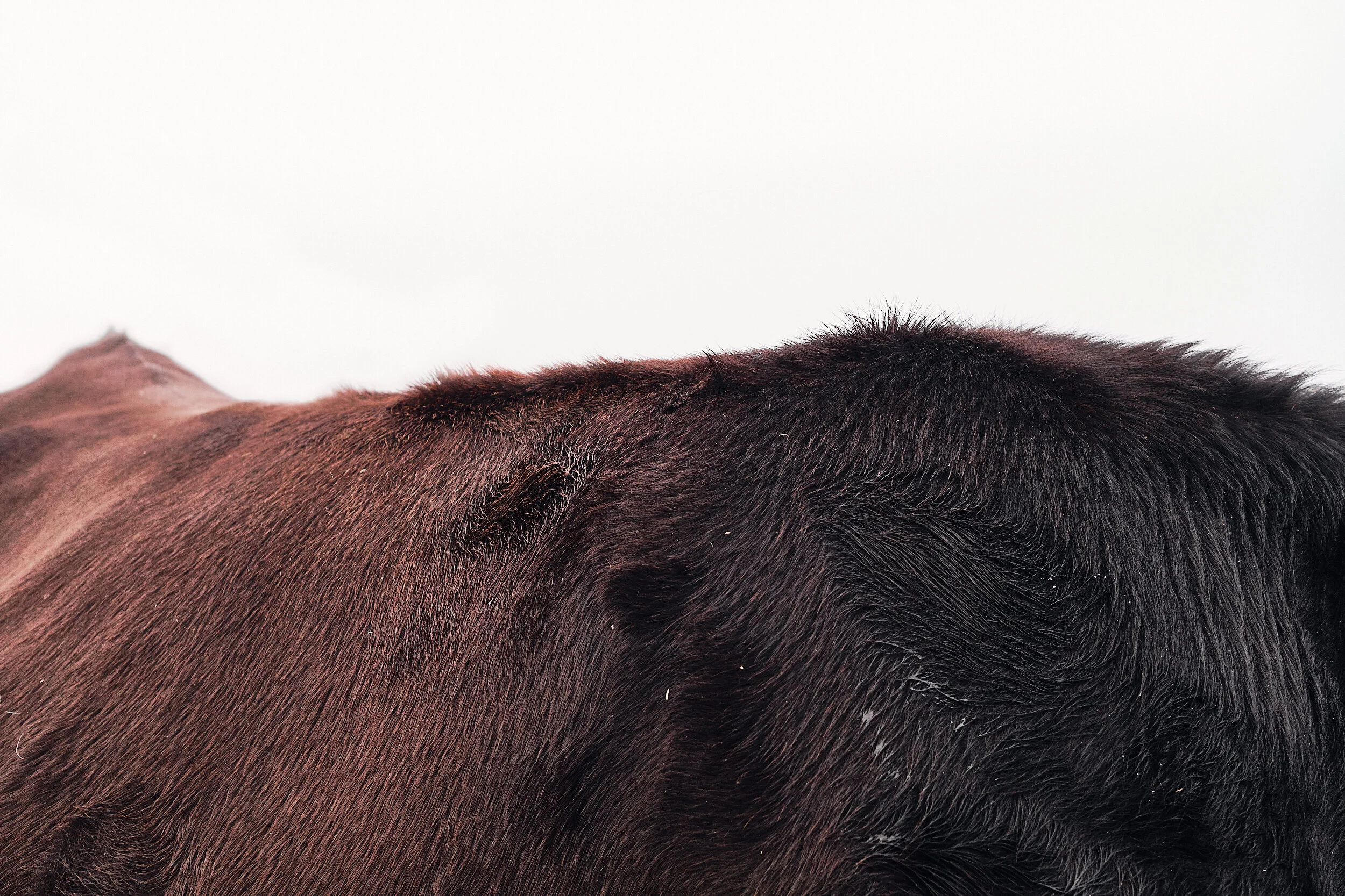 2021_Nov 2019_340.jpg