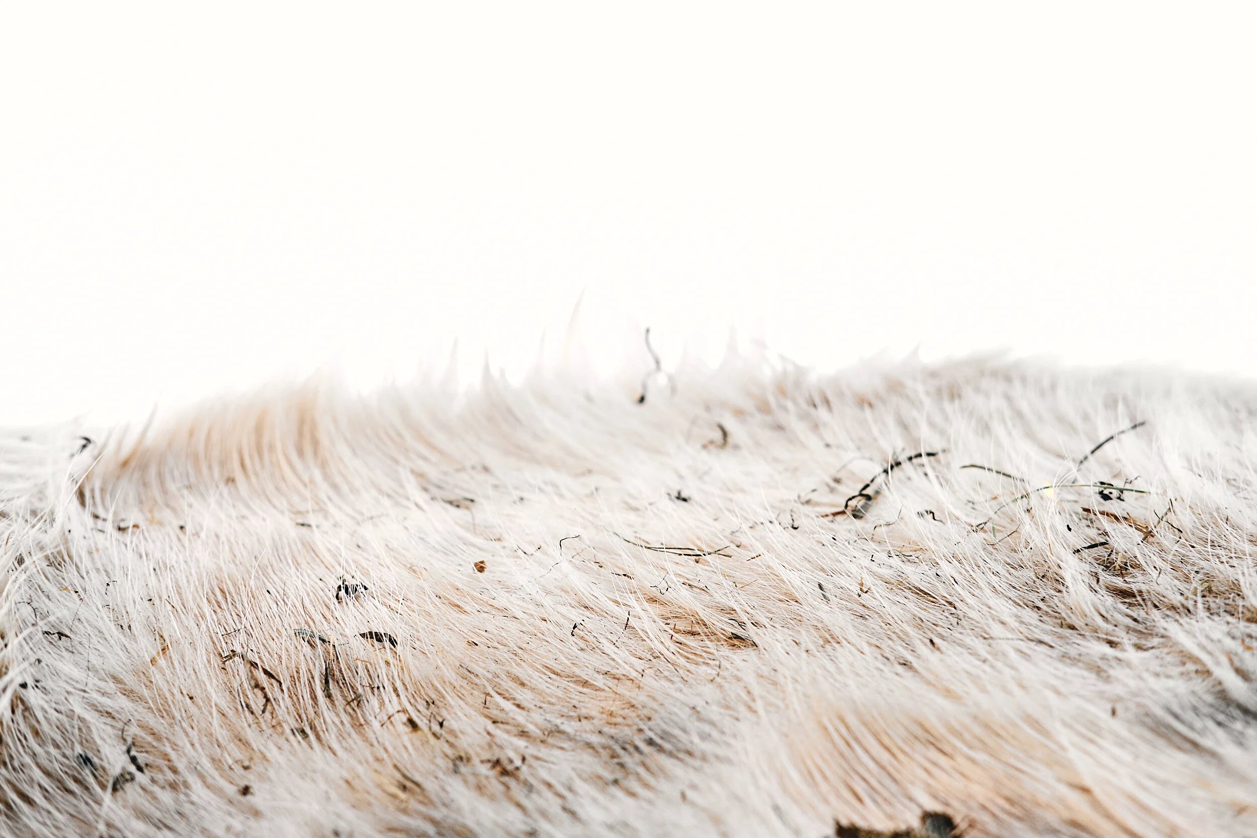 2021_Farm_Dec 2018_804.jpg