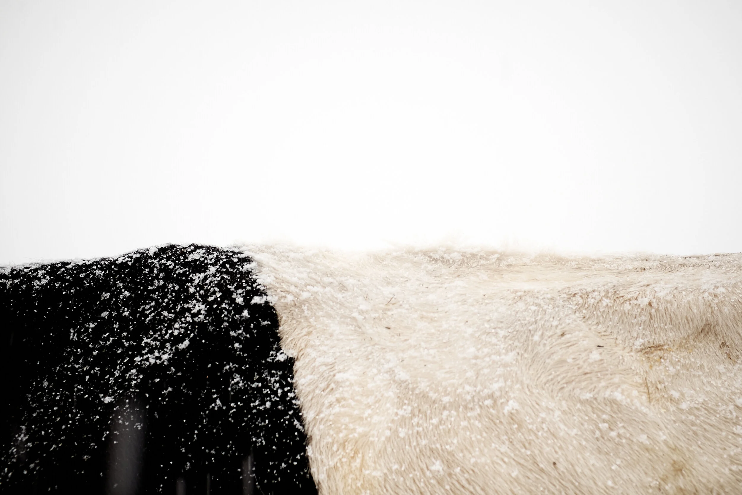 2021_Farm_Winter 2017_Jan 06 2017_009.jpg
