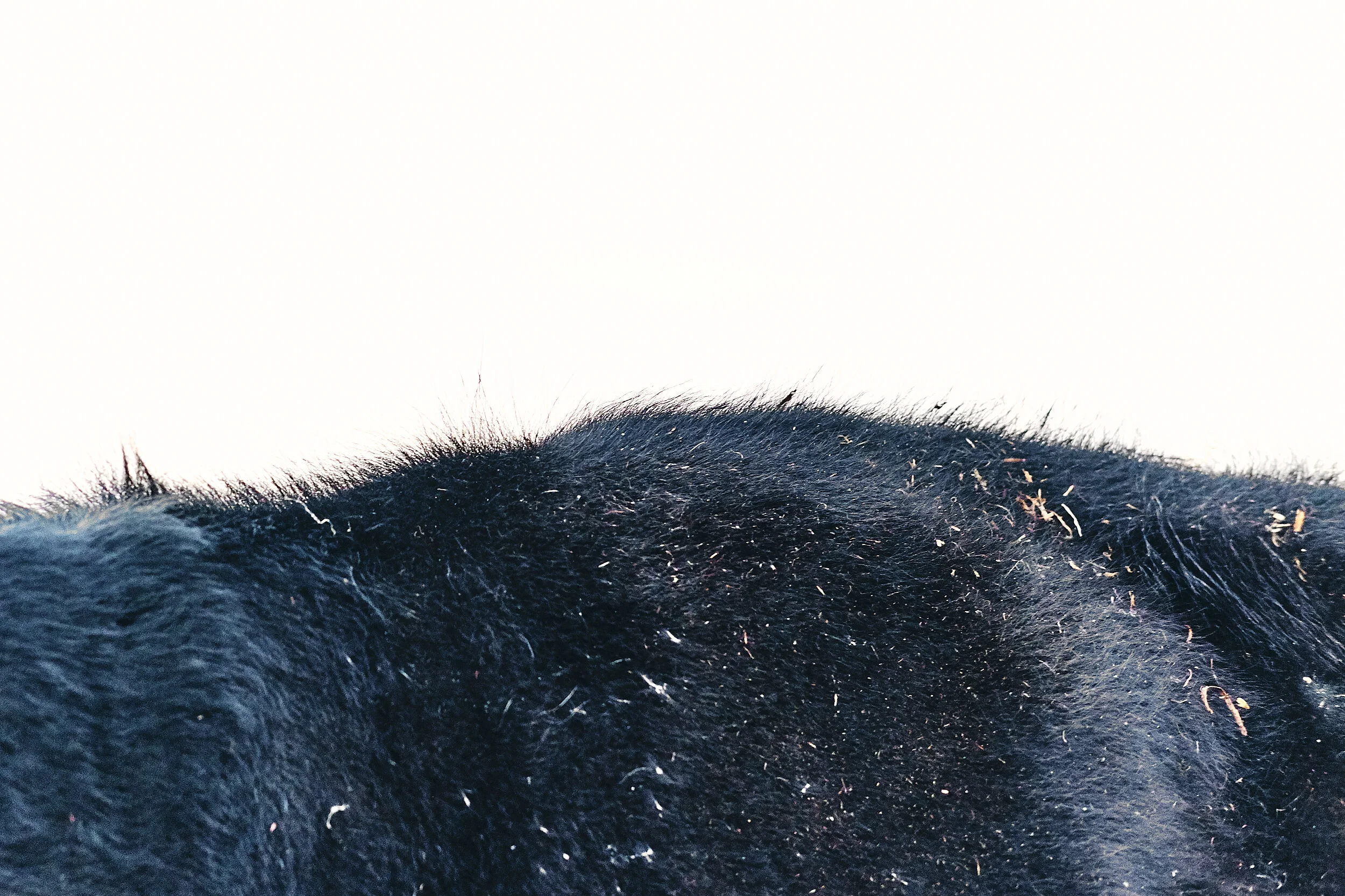 2021_Farm_Dec 2018_920.jpg