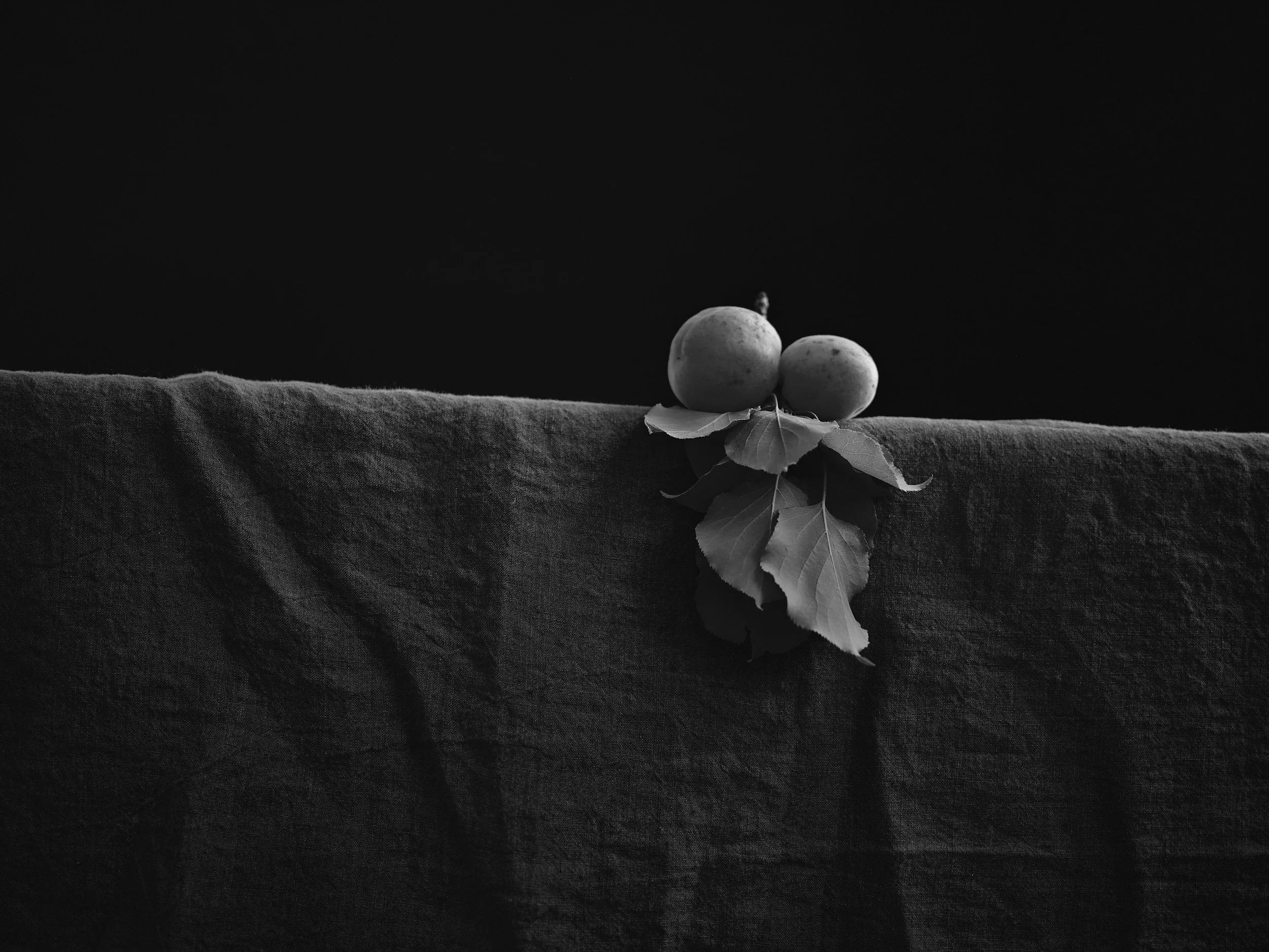 2022_Farmstand Exhibit_2021_Apricots from my tree_001.jpg