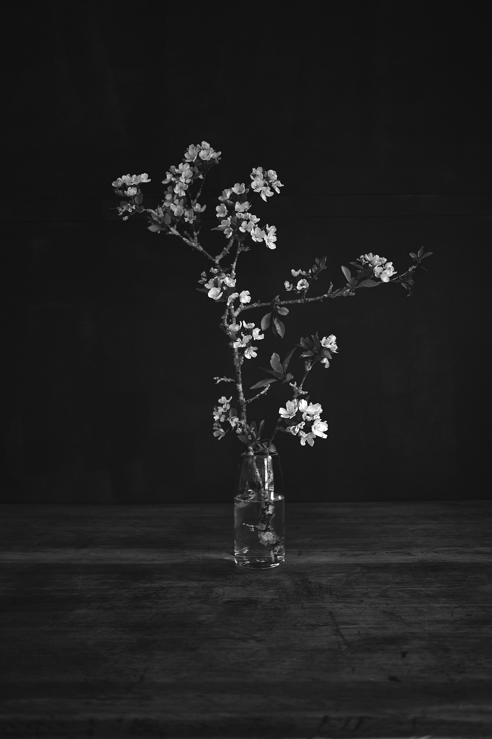 2022_Farmstand Exhibit_2020_May 15_still life_262.jpg