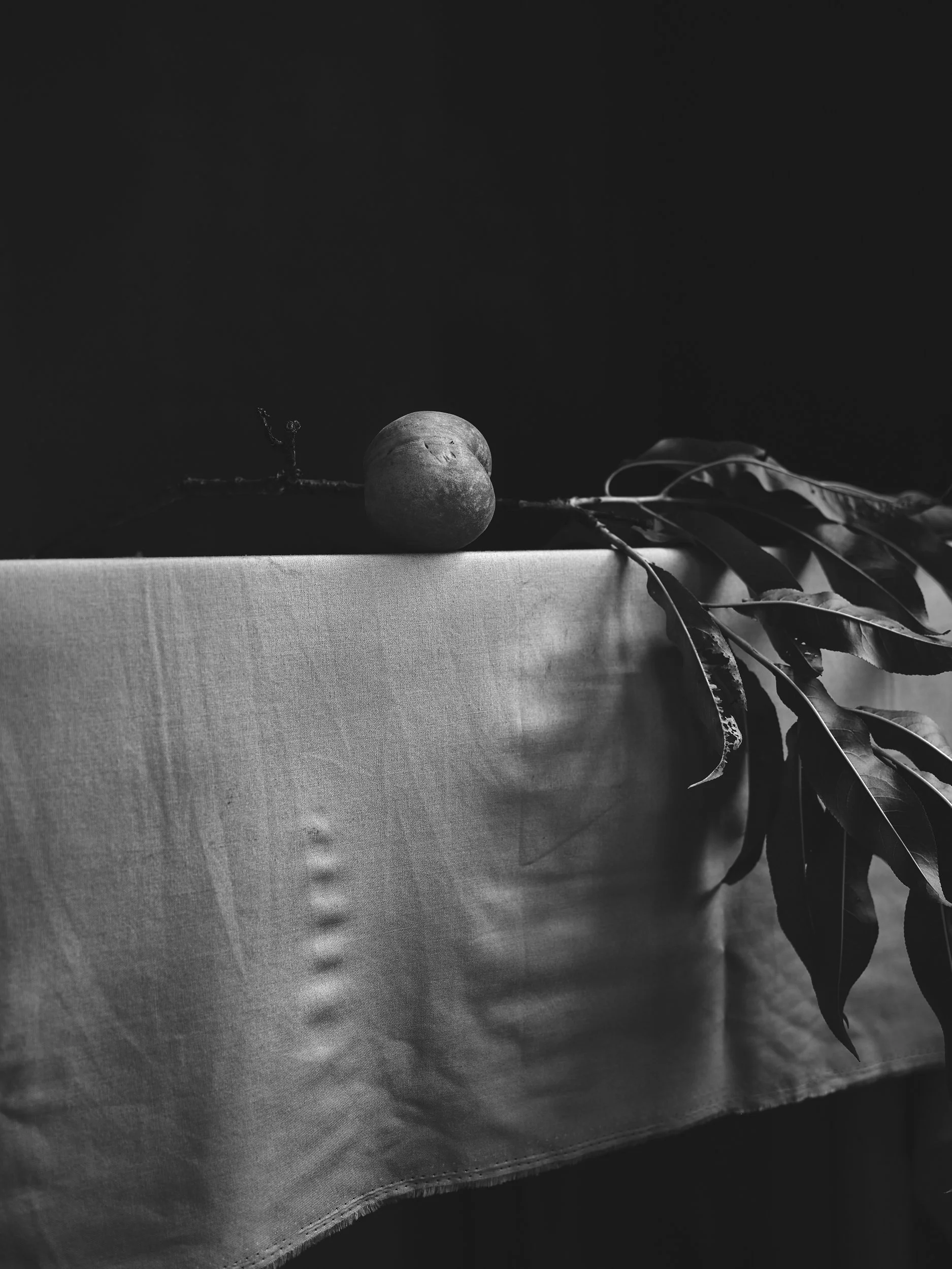 2022_Farmstand Exhibit_2021_Still Life With Summer Peach_019.jpg