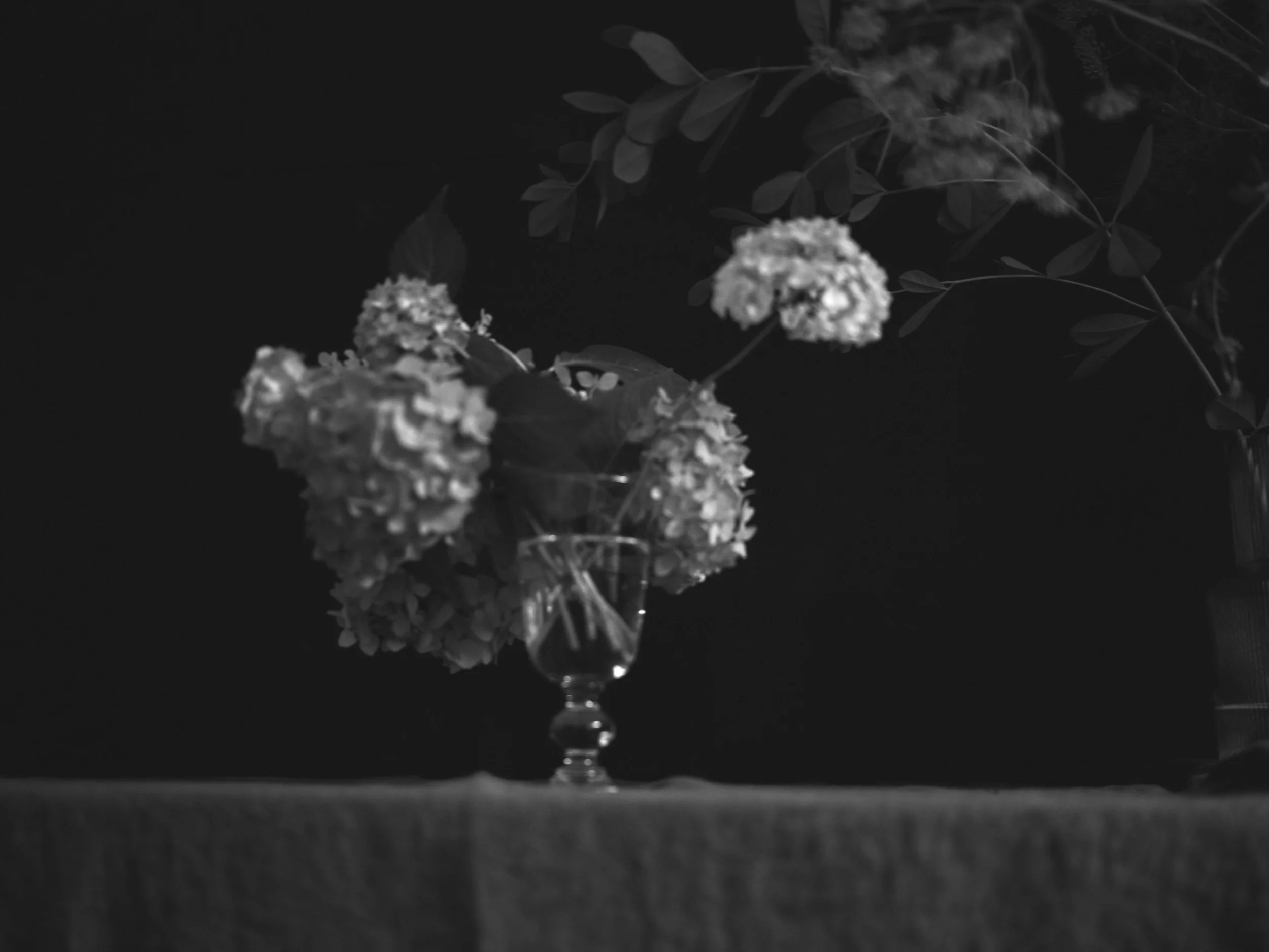 2022_Farmstand Exhibit_2021_Sorrentino Comission_1457.jpg
