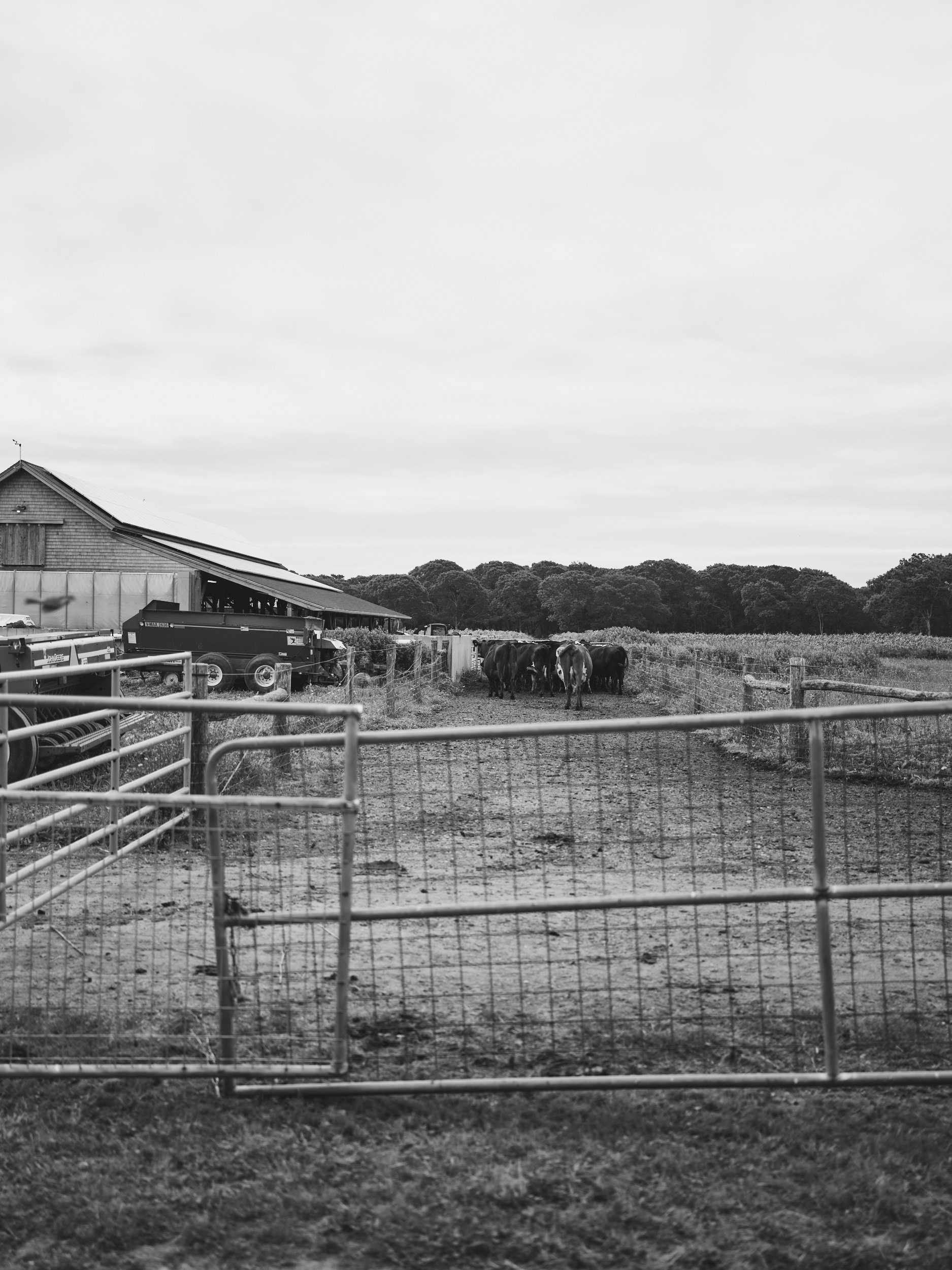 Squarespace_2021__2021_Creamery Making Prufrock in July_040_dark.jpg