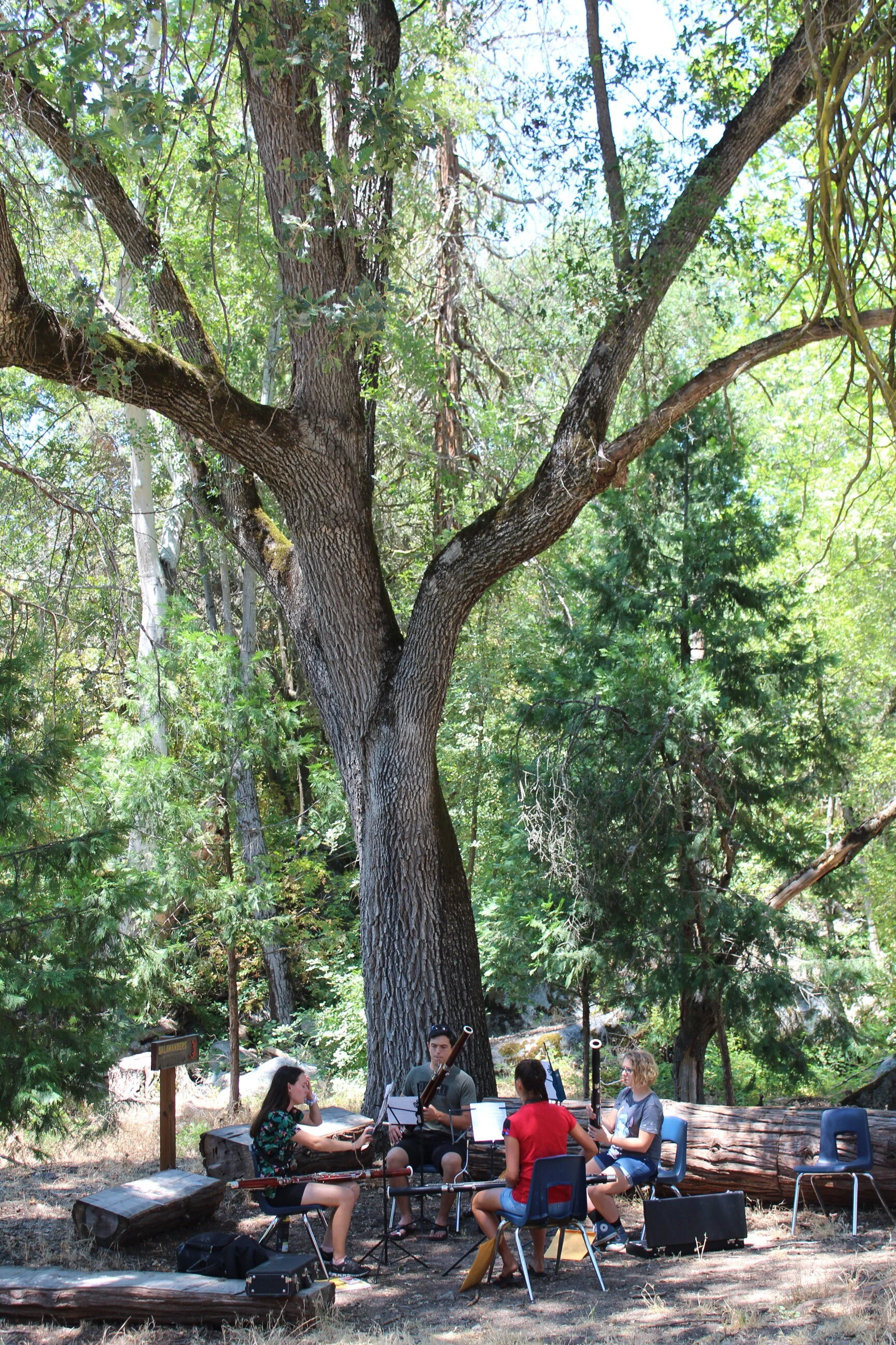 La Sierra 2019 1.JPG