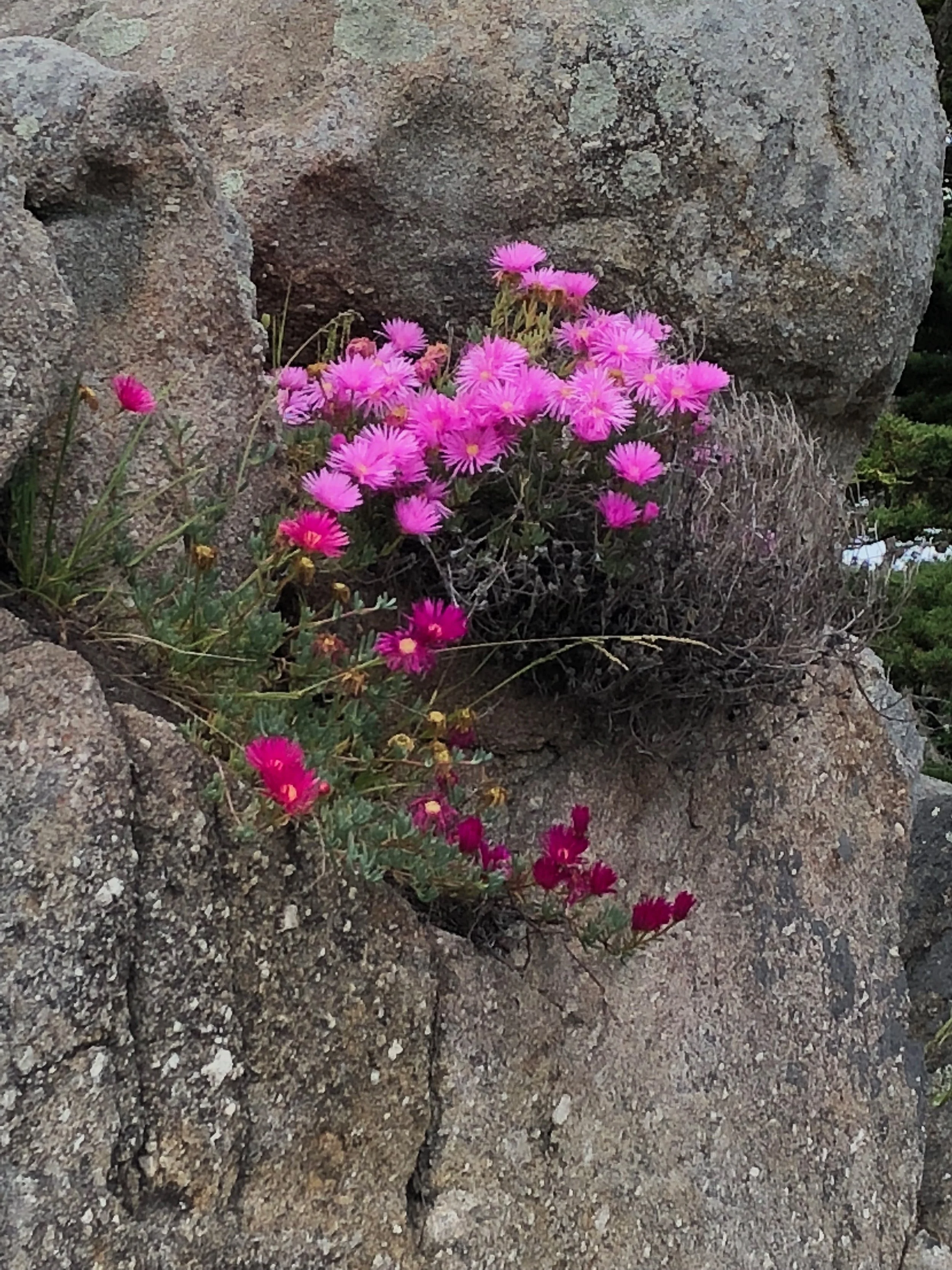 Waking Up to the Climate Crisis Through Poetry