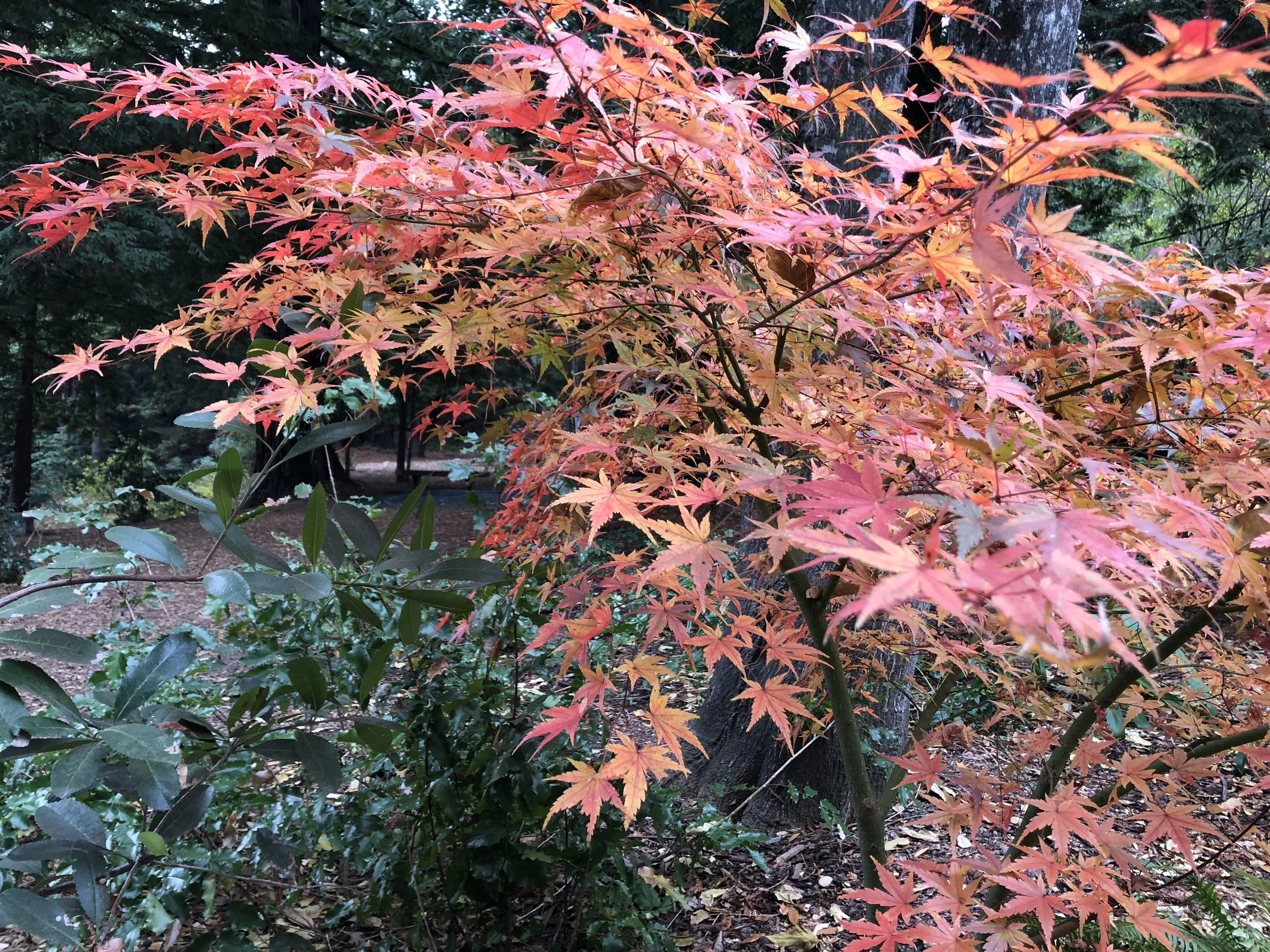 New Year's Resolutions or How to Make Changes Stick?