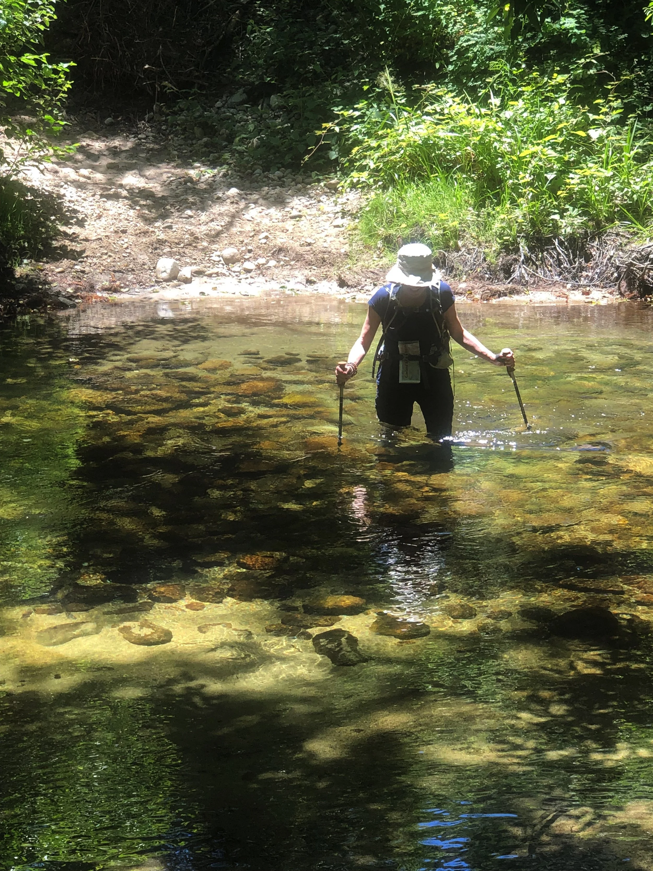 Crossing a Creek by Martha Courtot