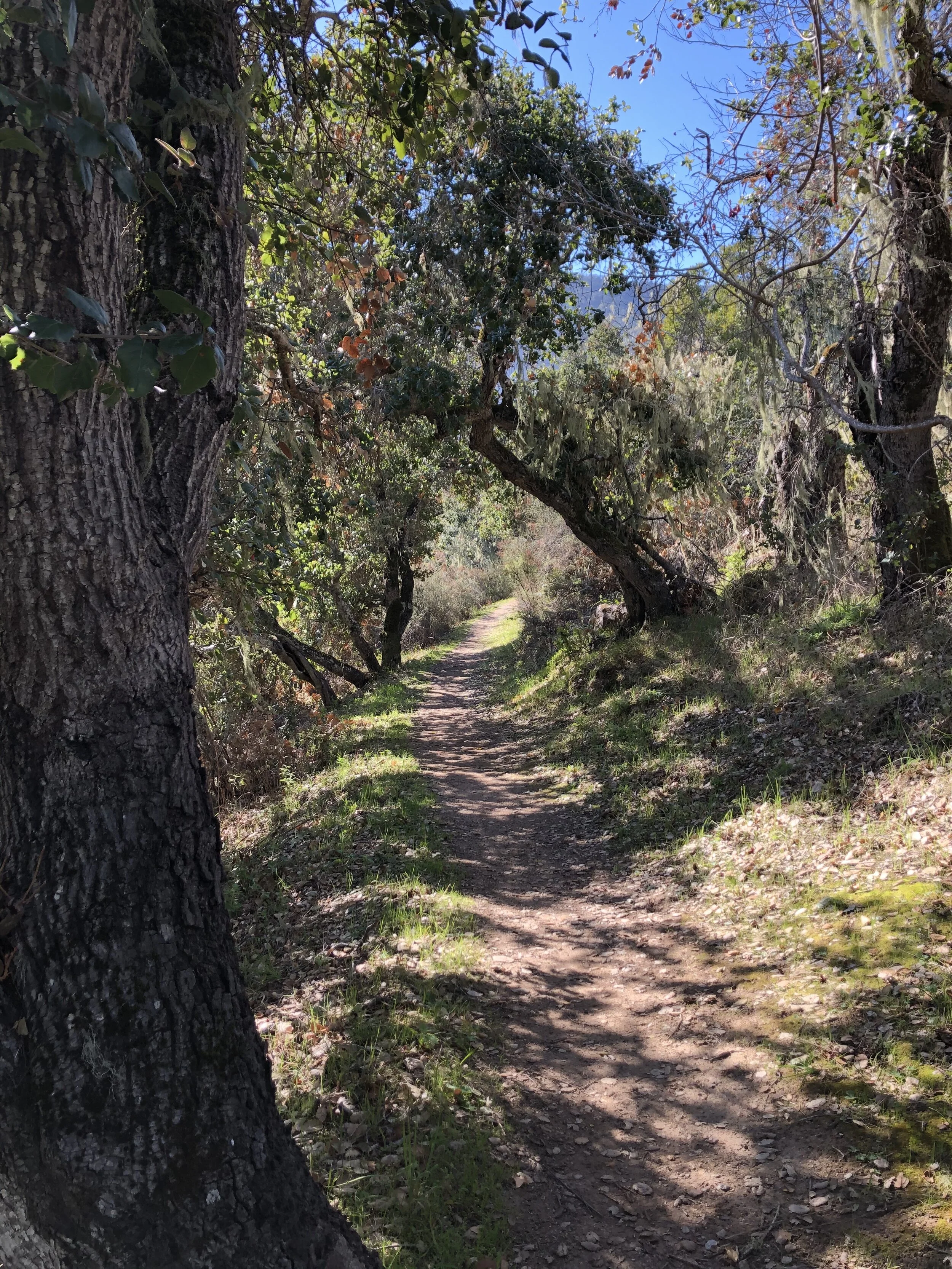 CANCELLED- Seasonal Contemplative Walks for Women- in Garland Ranch Regional Park, Carmel Valley, CA