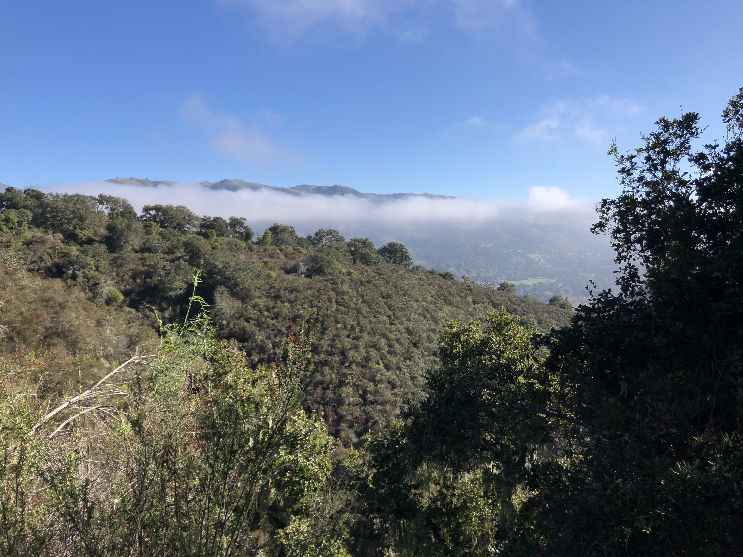 Announcing Four Additional Seasonal Walking Events in Carmel Valley, CA