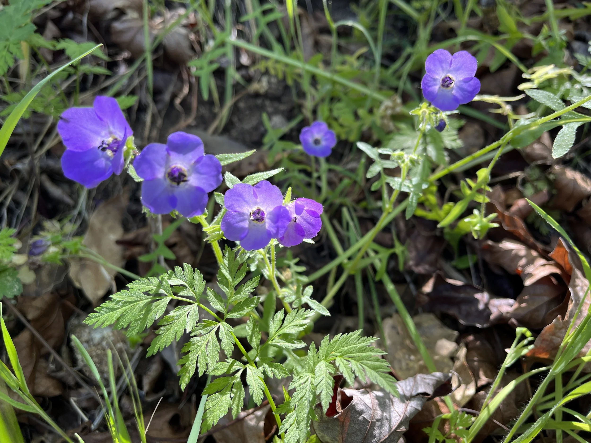 How Can We Be Good Ancestors?