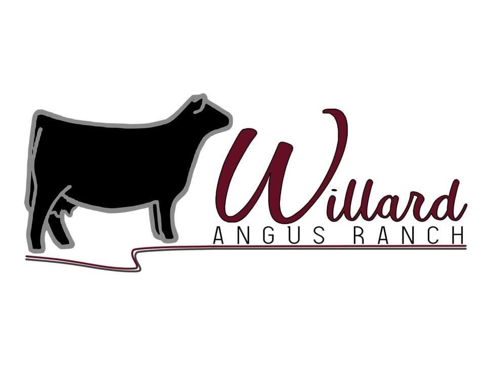 Willard Angus Ranch_IMG_8704.jpg