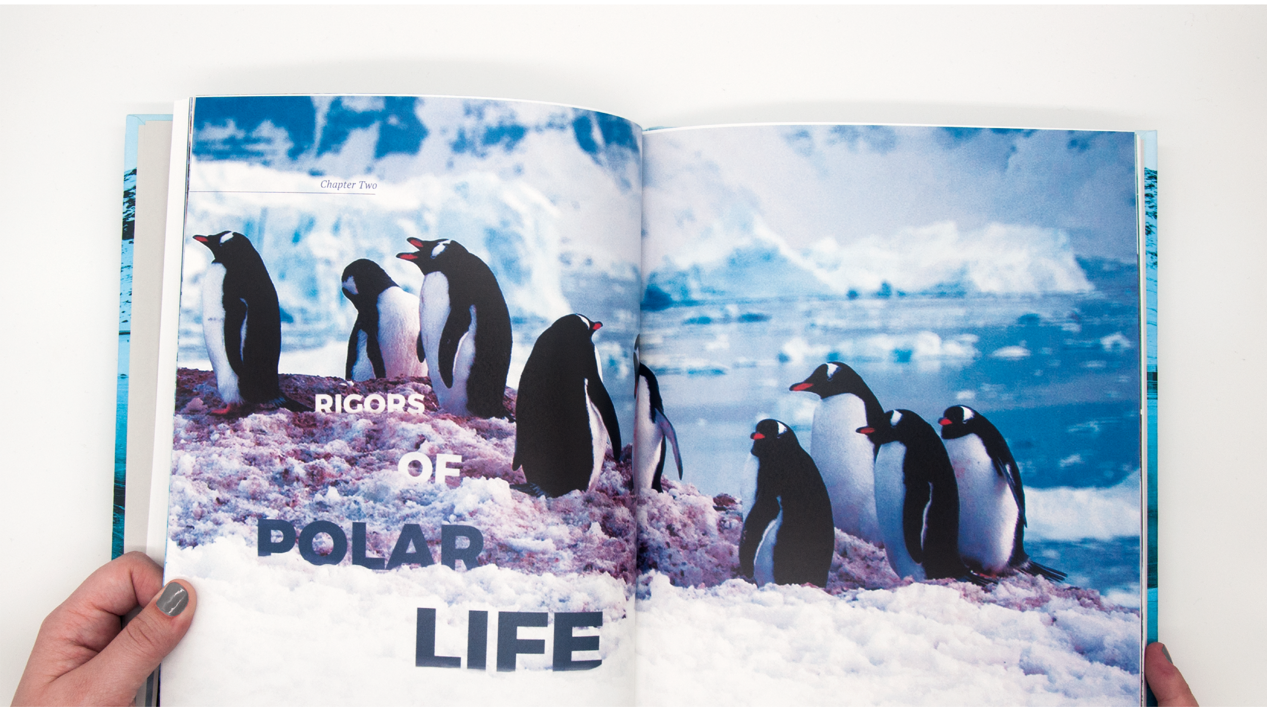timelife_behance1-07.png